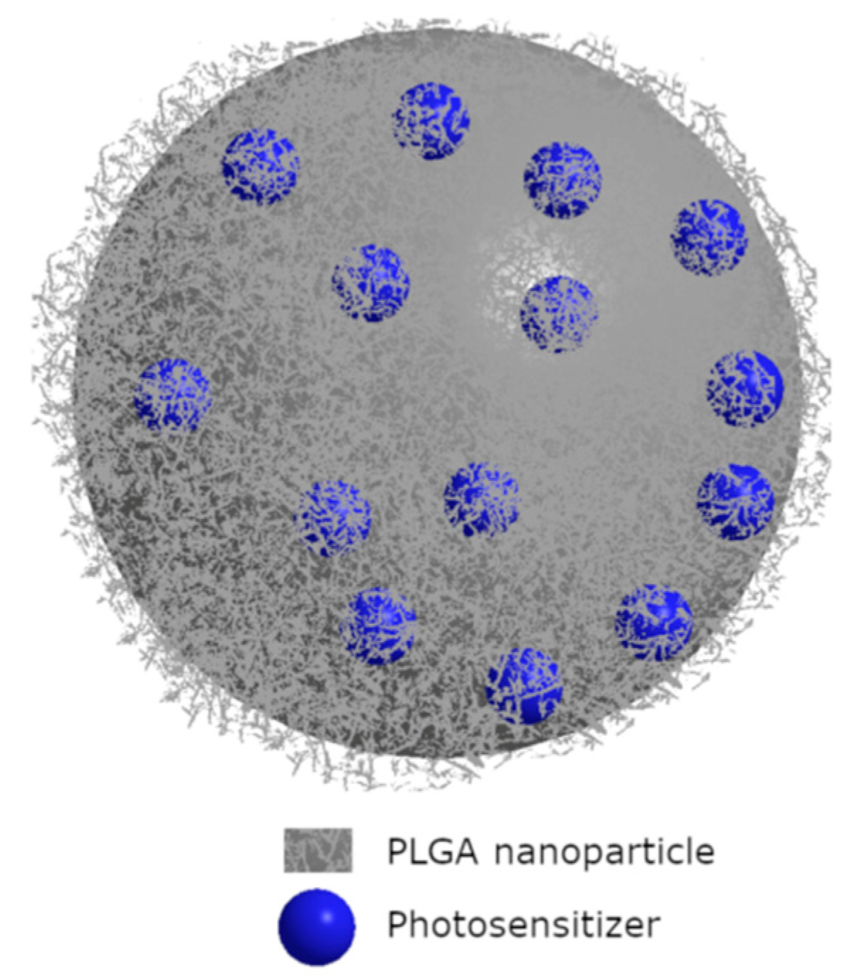 Nanomaterials 13 02130 g005
