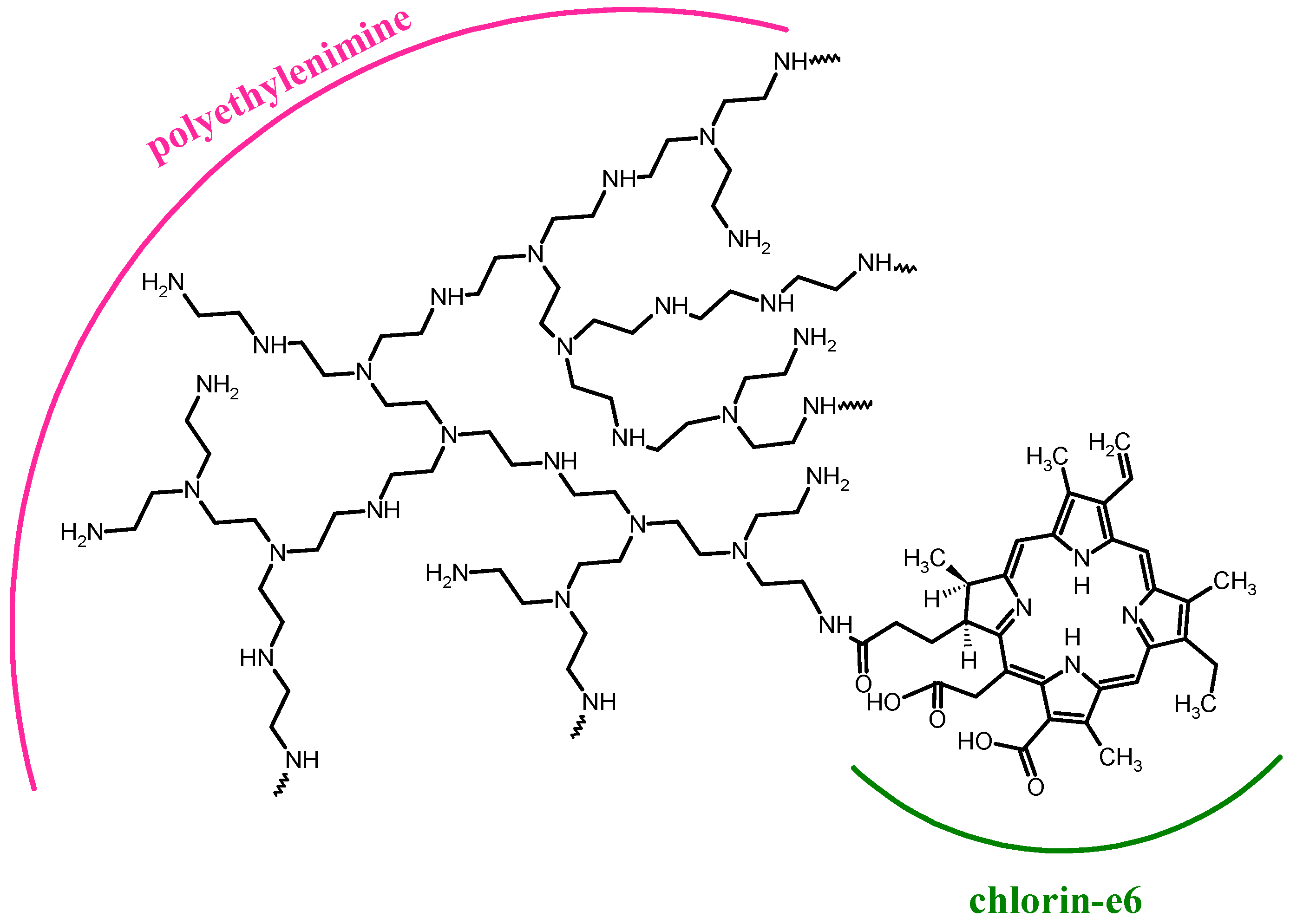 Nanomaterials 13 02130 g006