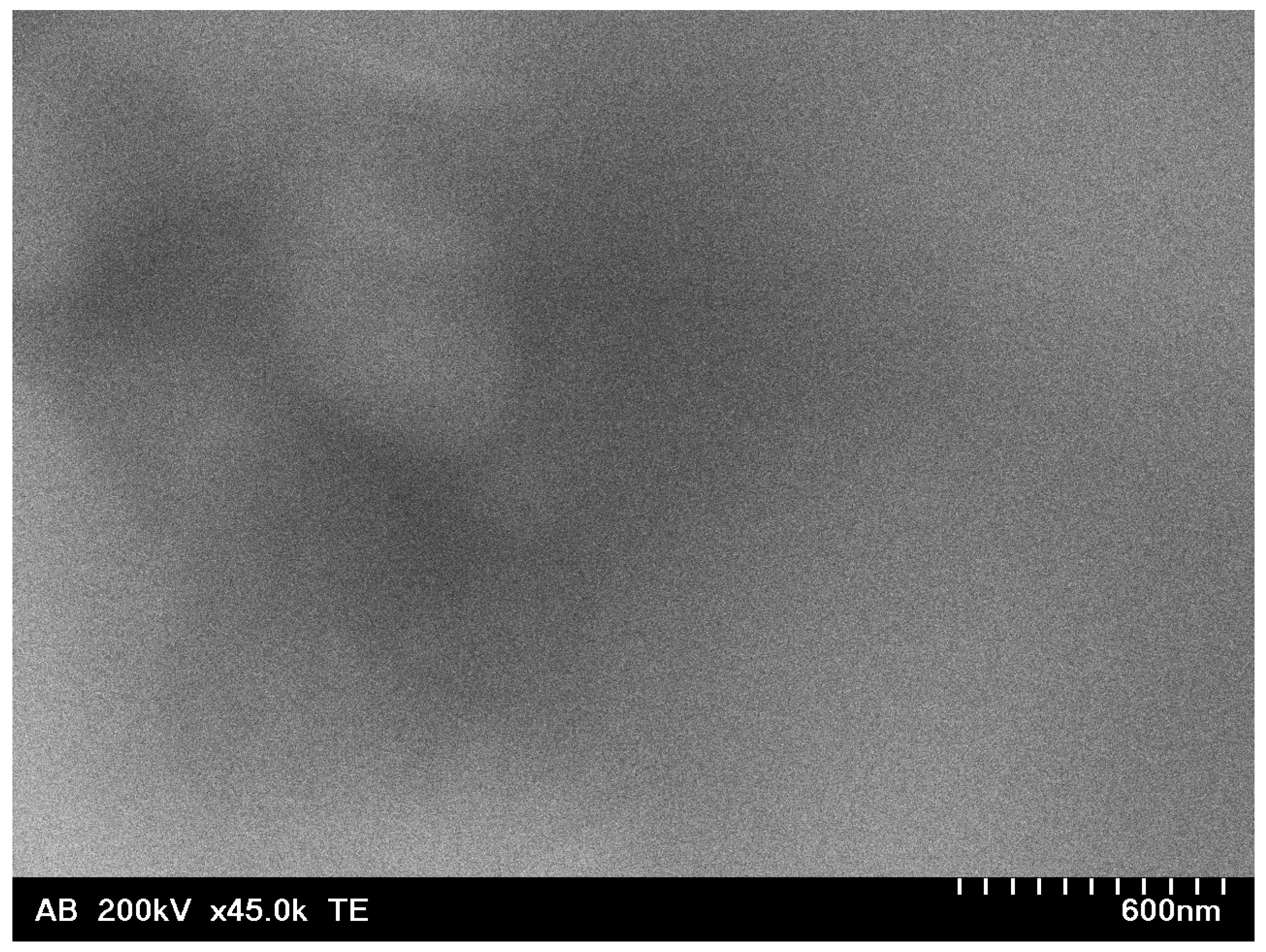 Nanomaterials 13 02131 g002a Nanomaterials 13 02131 g002a