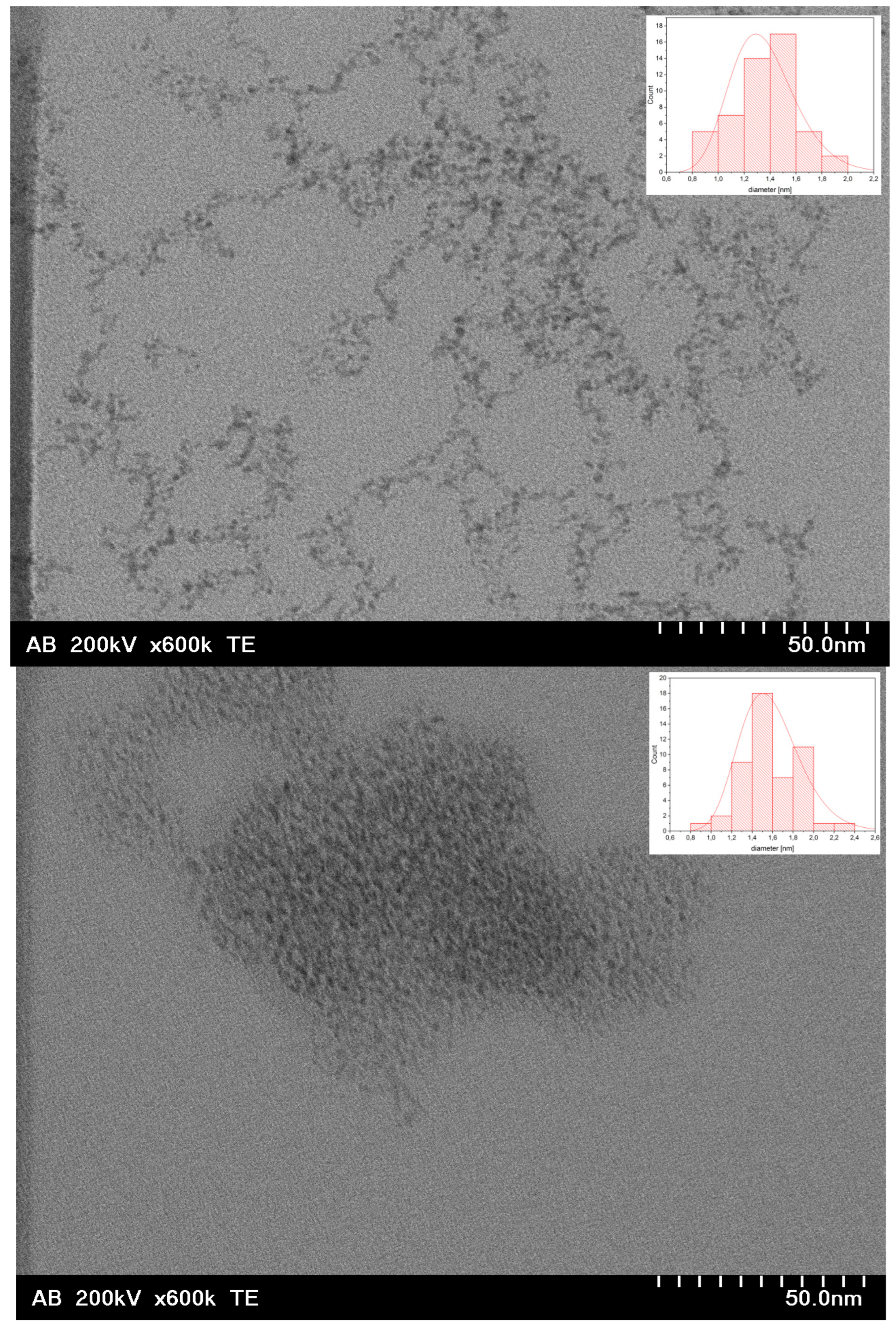 Nanomaterials 13 02131 g002b Nanomaterials 13 02131 g002b