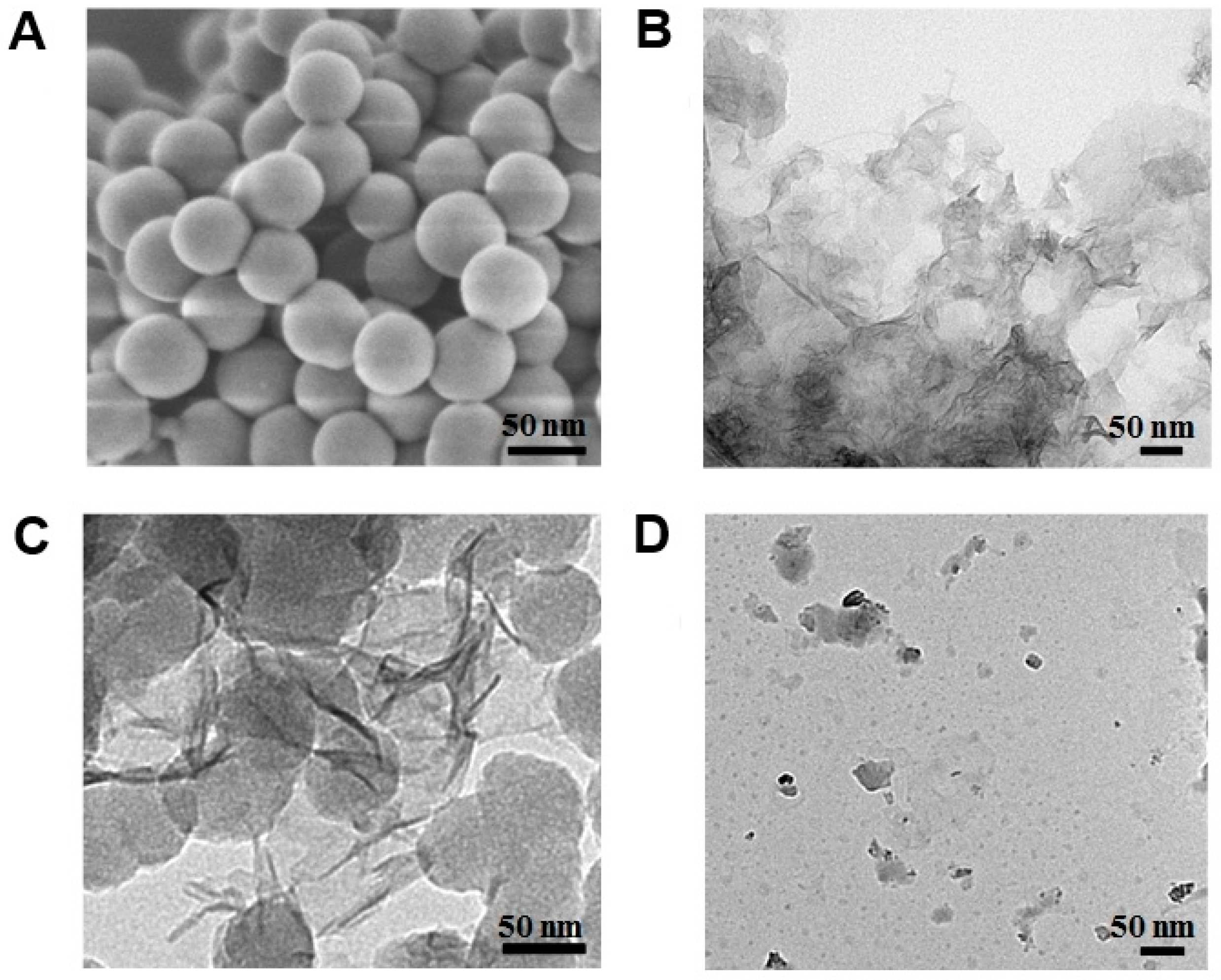 Nanomaterials 13 02138 g001 Nanomaterials 13 02138 g001