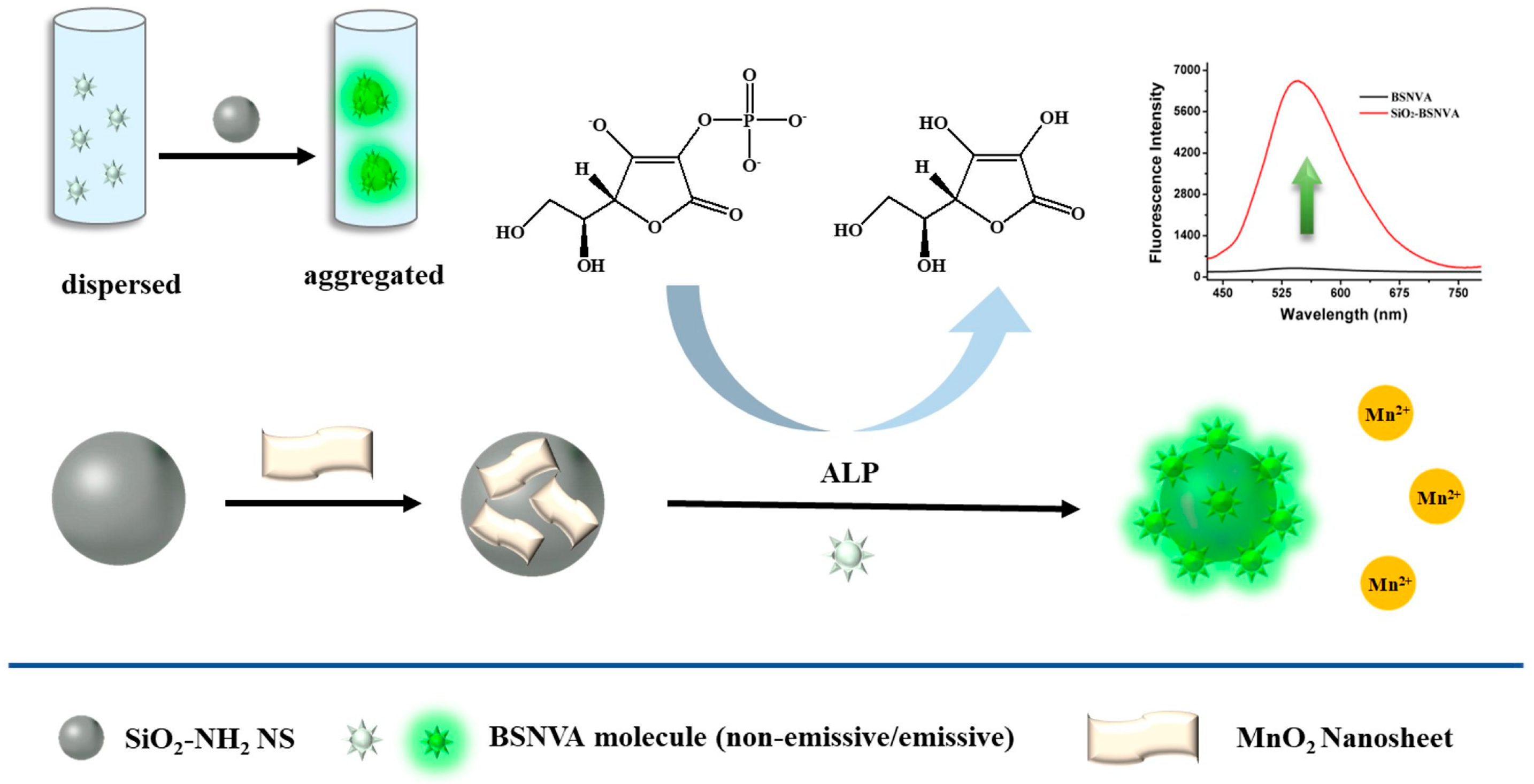 Nanomaterials 13 02138 sch001 Nanomaterials 13 02138 sch001