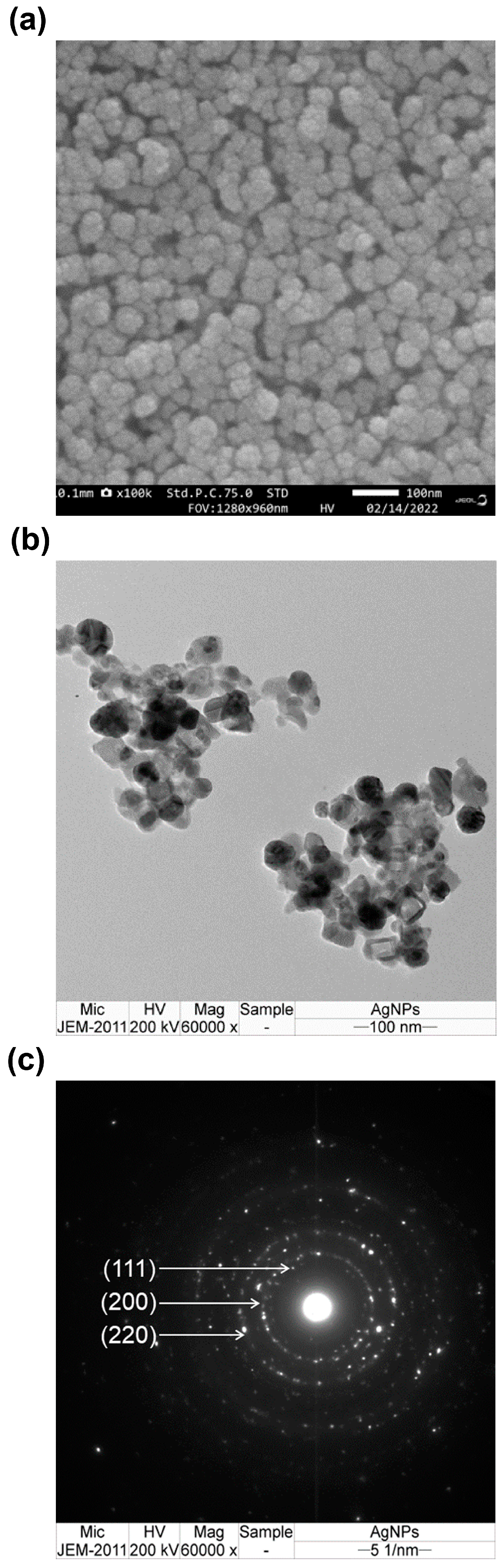 Nanomaterials 13 02141 g003 Nanomaterials 13 02141 g003