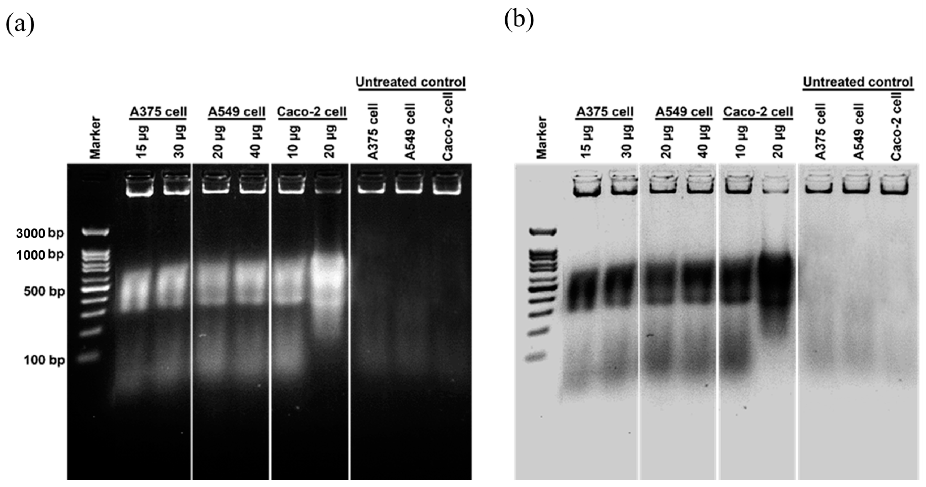 Nanomaterials 13 02141 g009 Nanomaterials 13 02141 g009