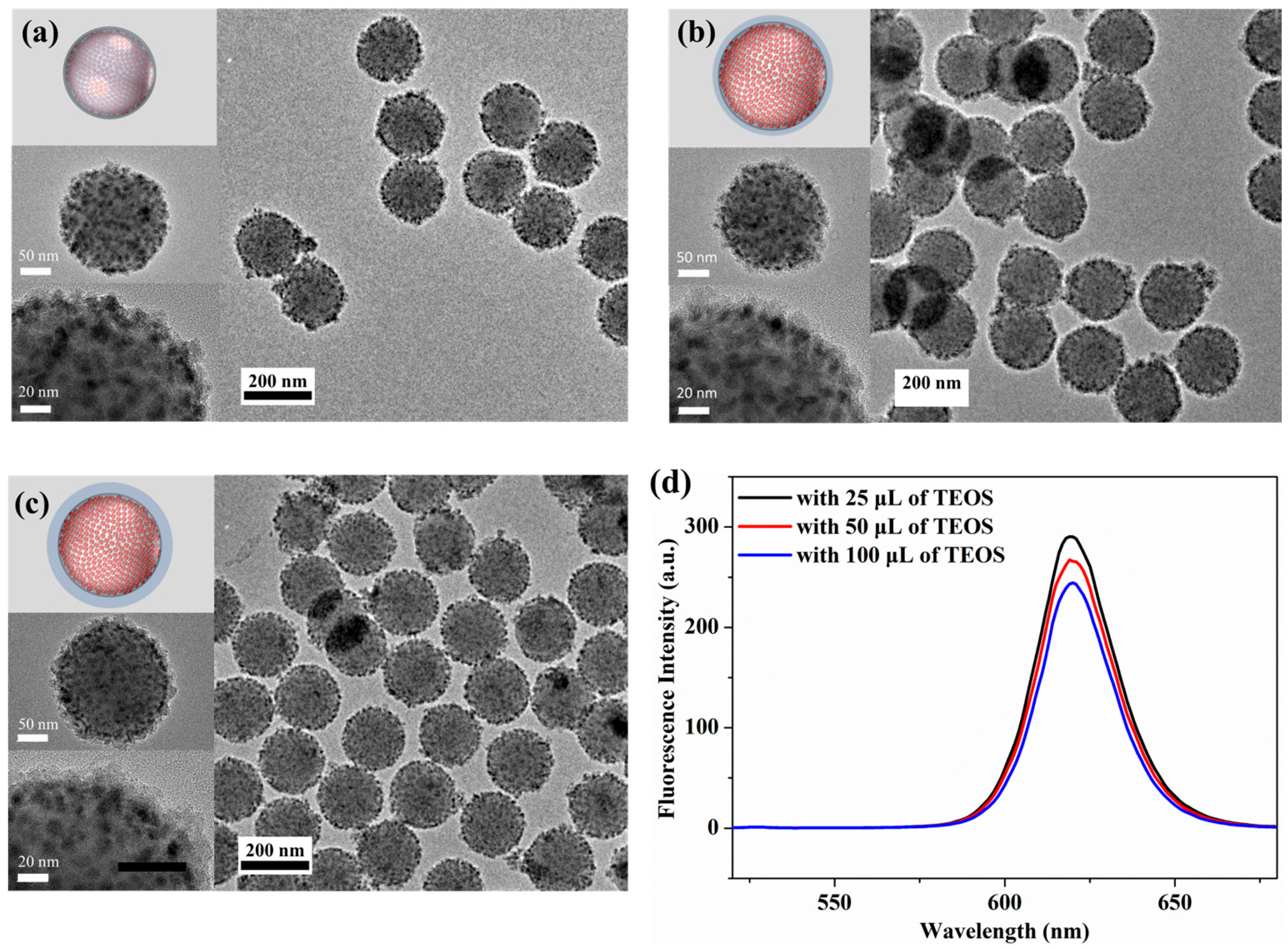 Nanomaterials 13 02145 g004 Nanomaterials 13 02145 g004