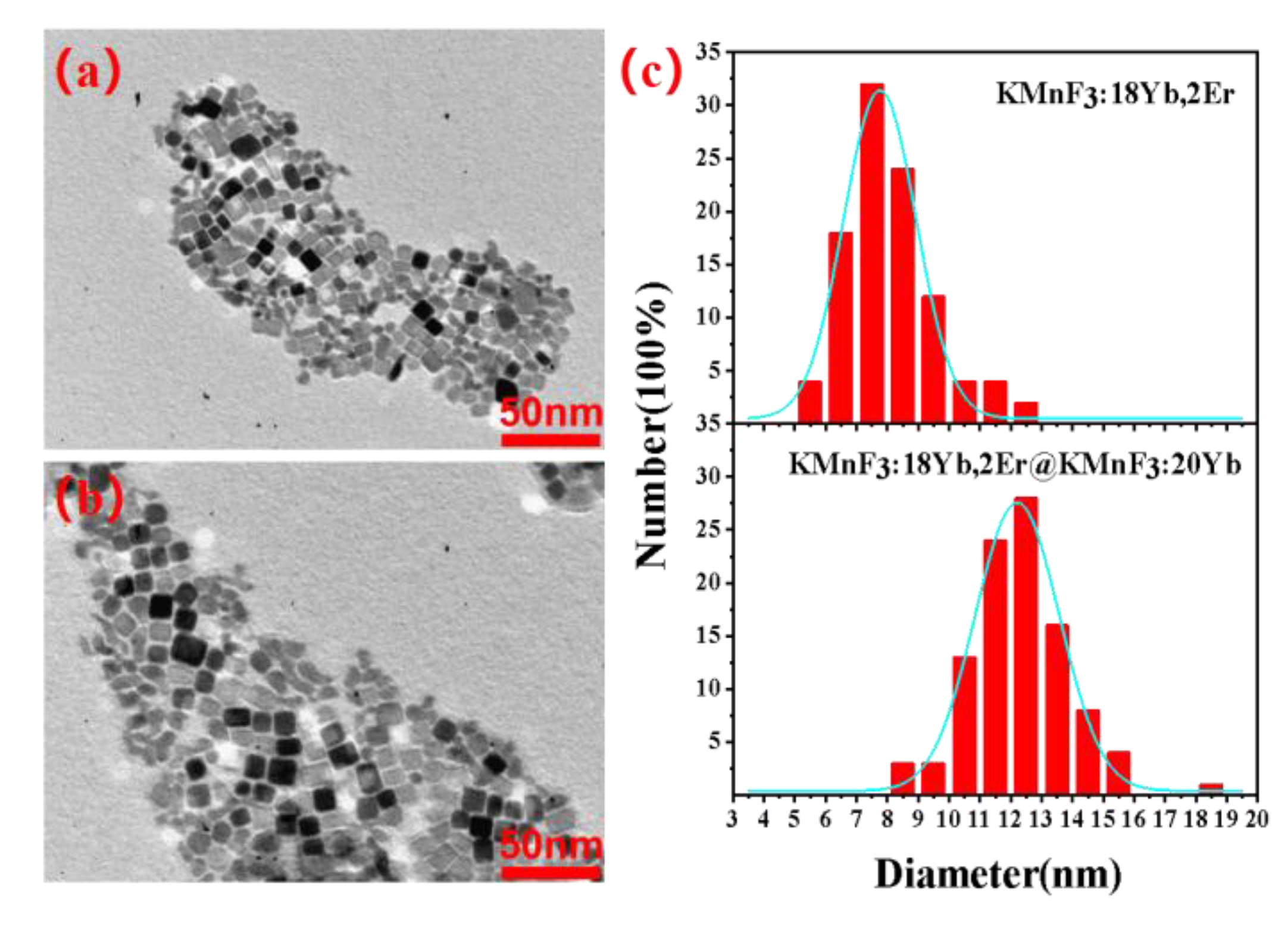 Nanomaterials 13 02153 g004 Nanomaterials 13 02153 g004