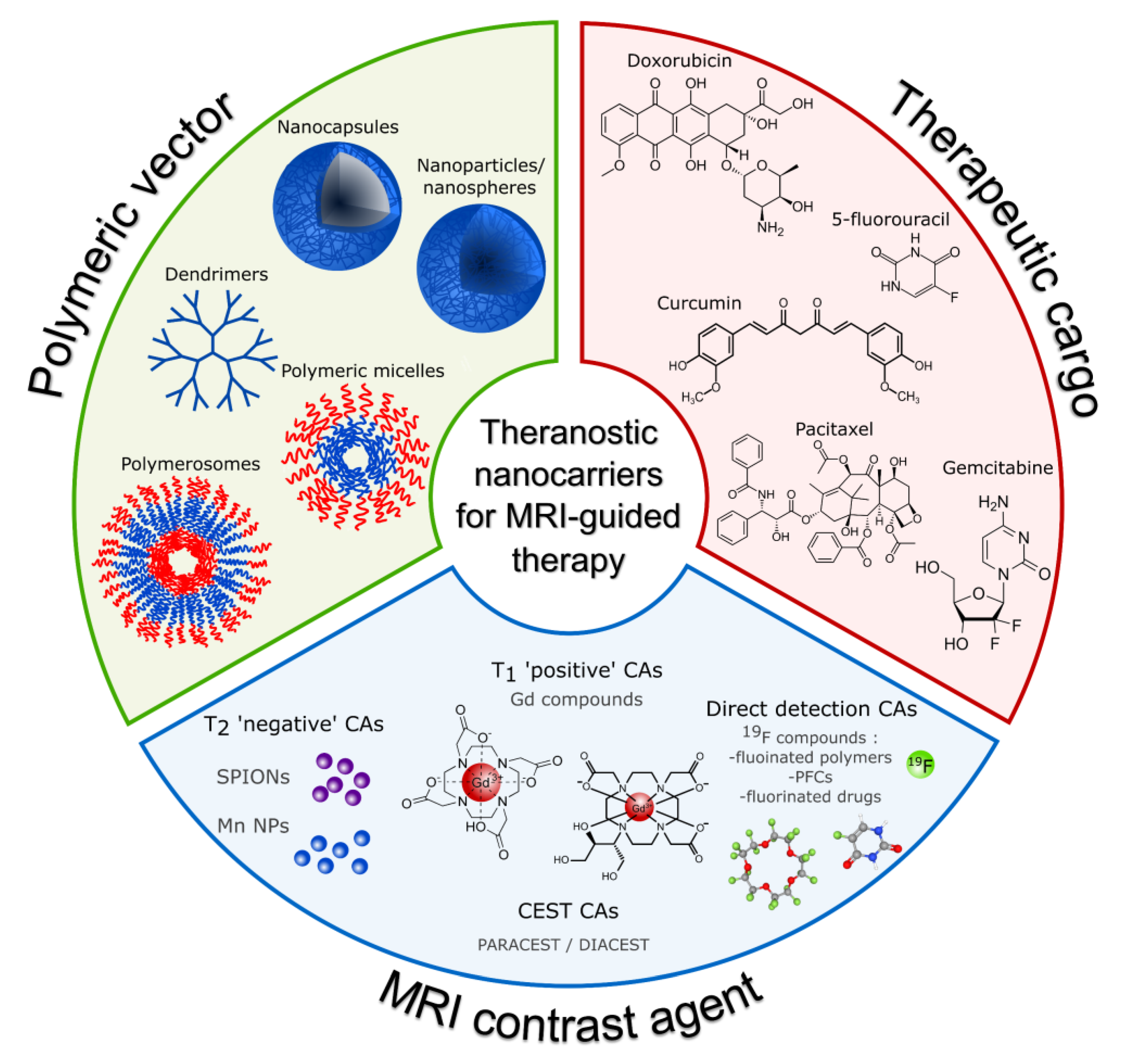 Various nanotechnology-based molecular imaging methods (A) PP/PS@MIONs