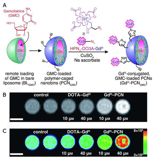 Contrasting Properties of Polymeric Nanocarriers for MRI