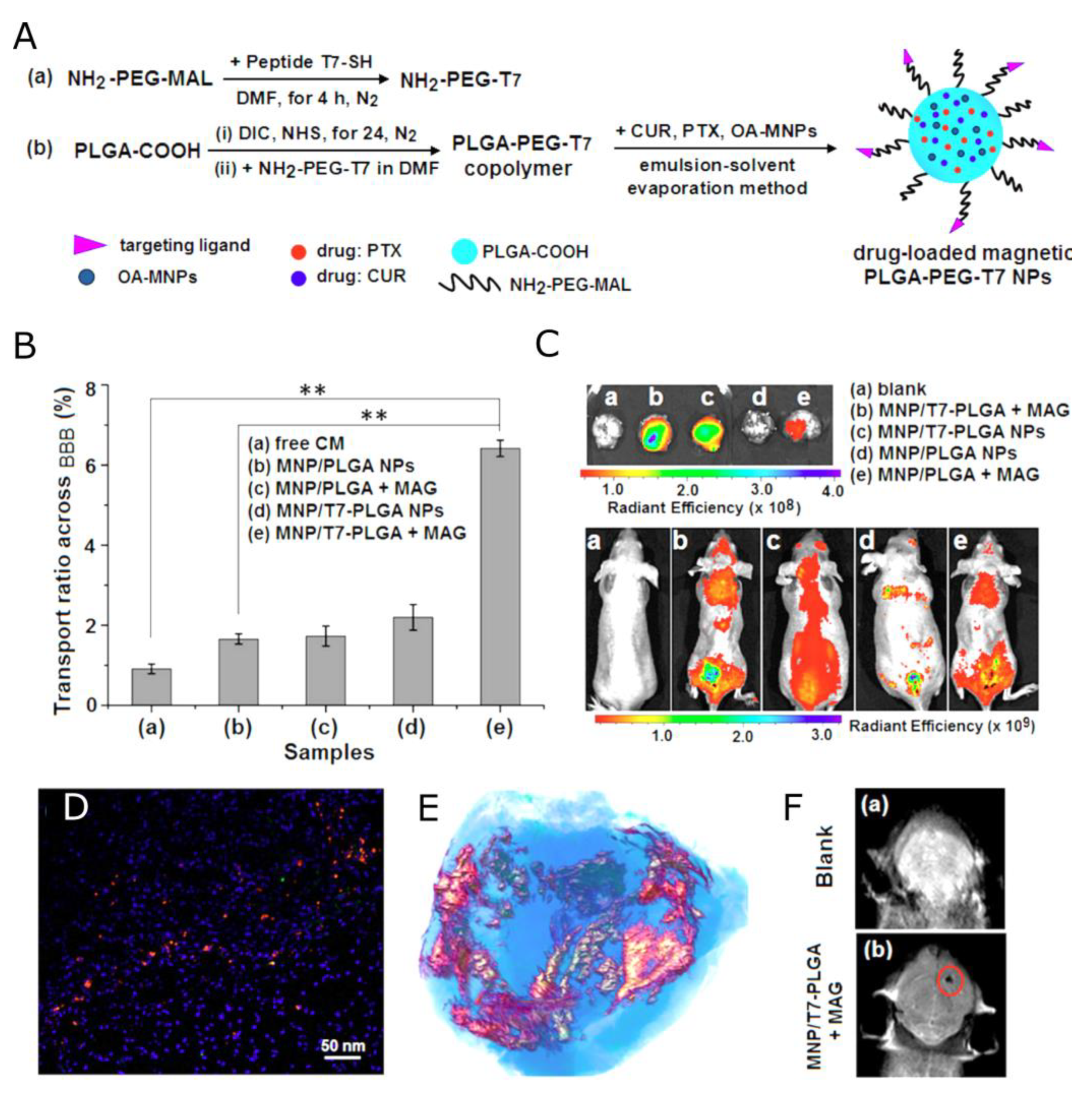 Nanomaterials 13 02163 g007 Nanomaterials 13 02163 g007