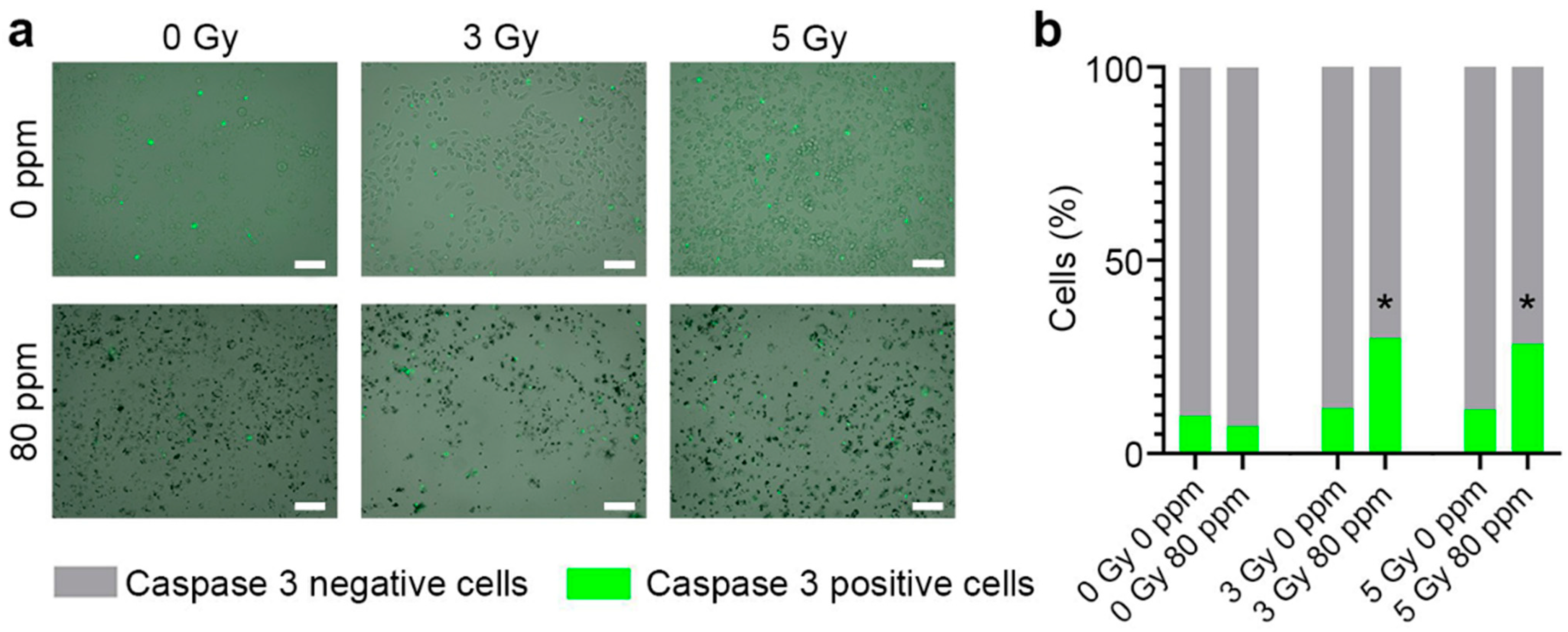 Nanomaterials 13 02167 g004 Nanomaterials 13 02167 g004