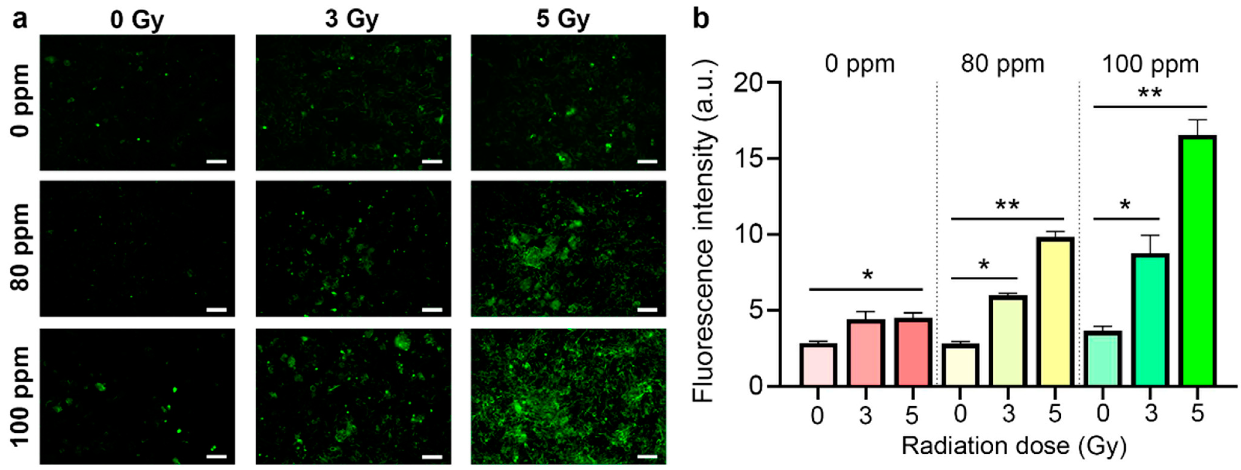 Nanomaterials 13 02167 g005 Nanomaterials 13 02167 g005