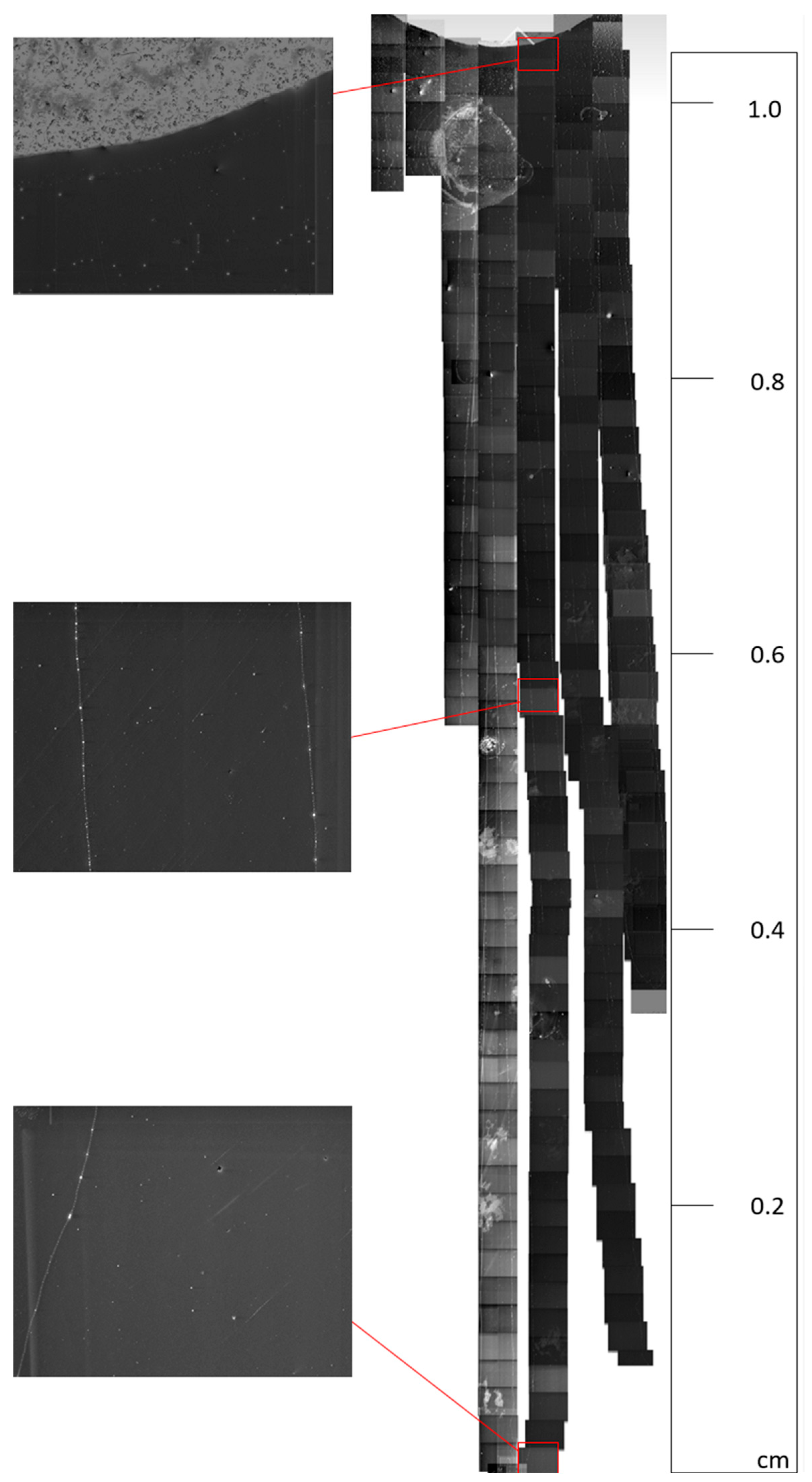 Nanomaterials 13 02172 g008 Nanomaterials 13 02172 g008