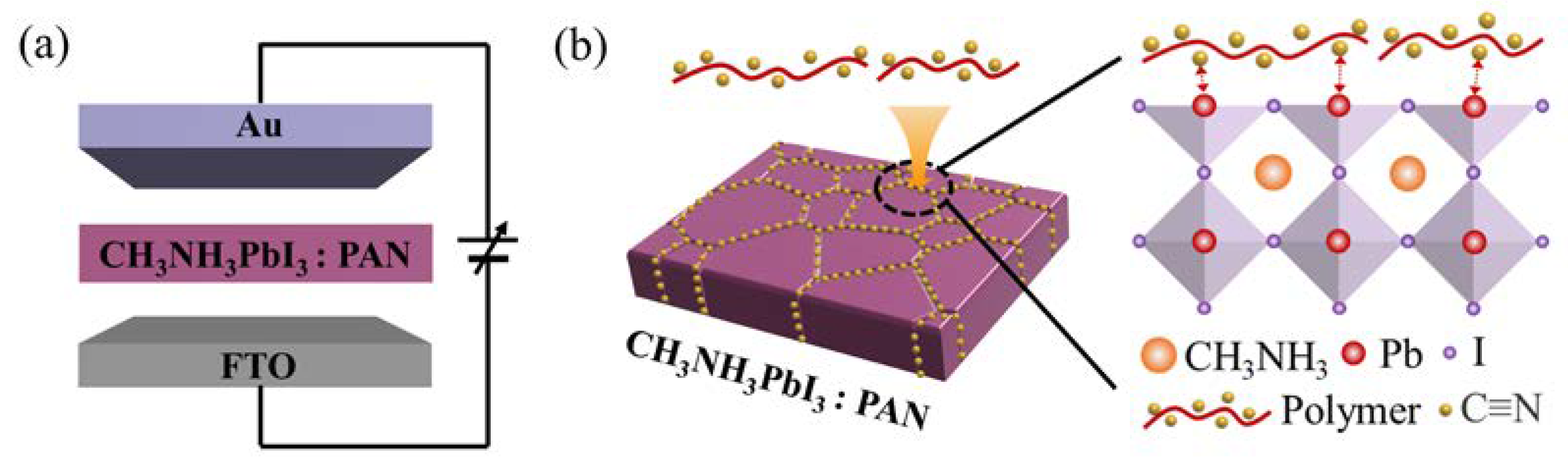 Nanomaterials 13 02174 g001