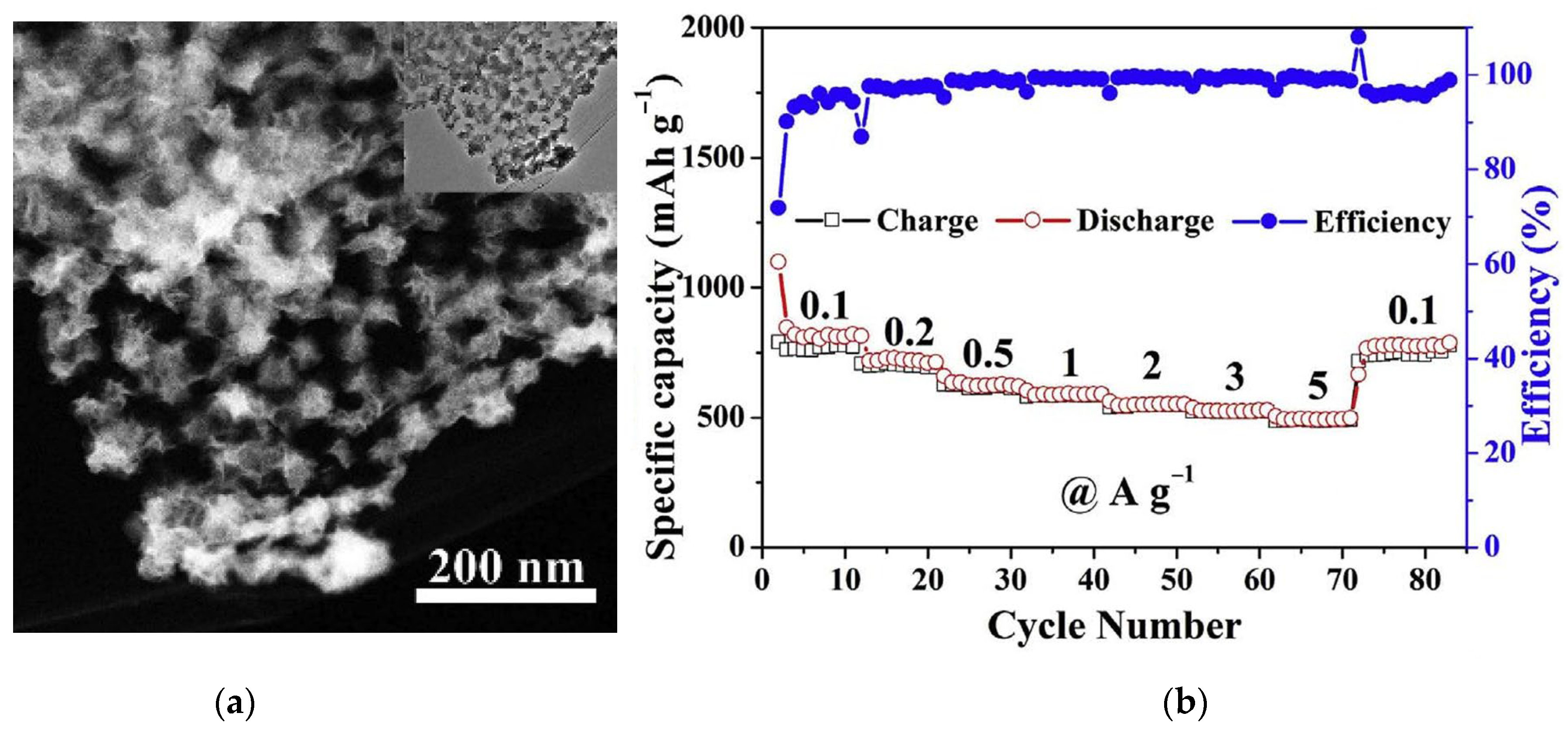Nanomaterials 13 02182 g011 Nanomaterials 13 02182 g011