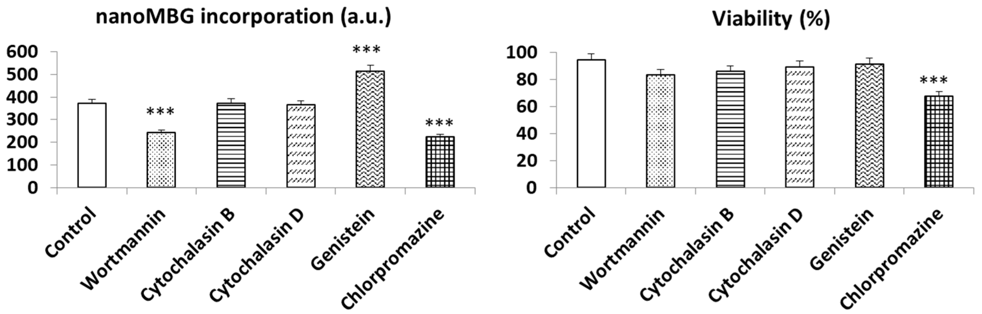 Nanomaterials 13 02183 g004 Nanomaterials 13 02183 g004