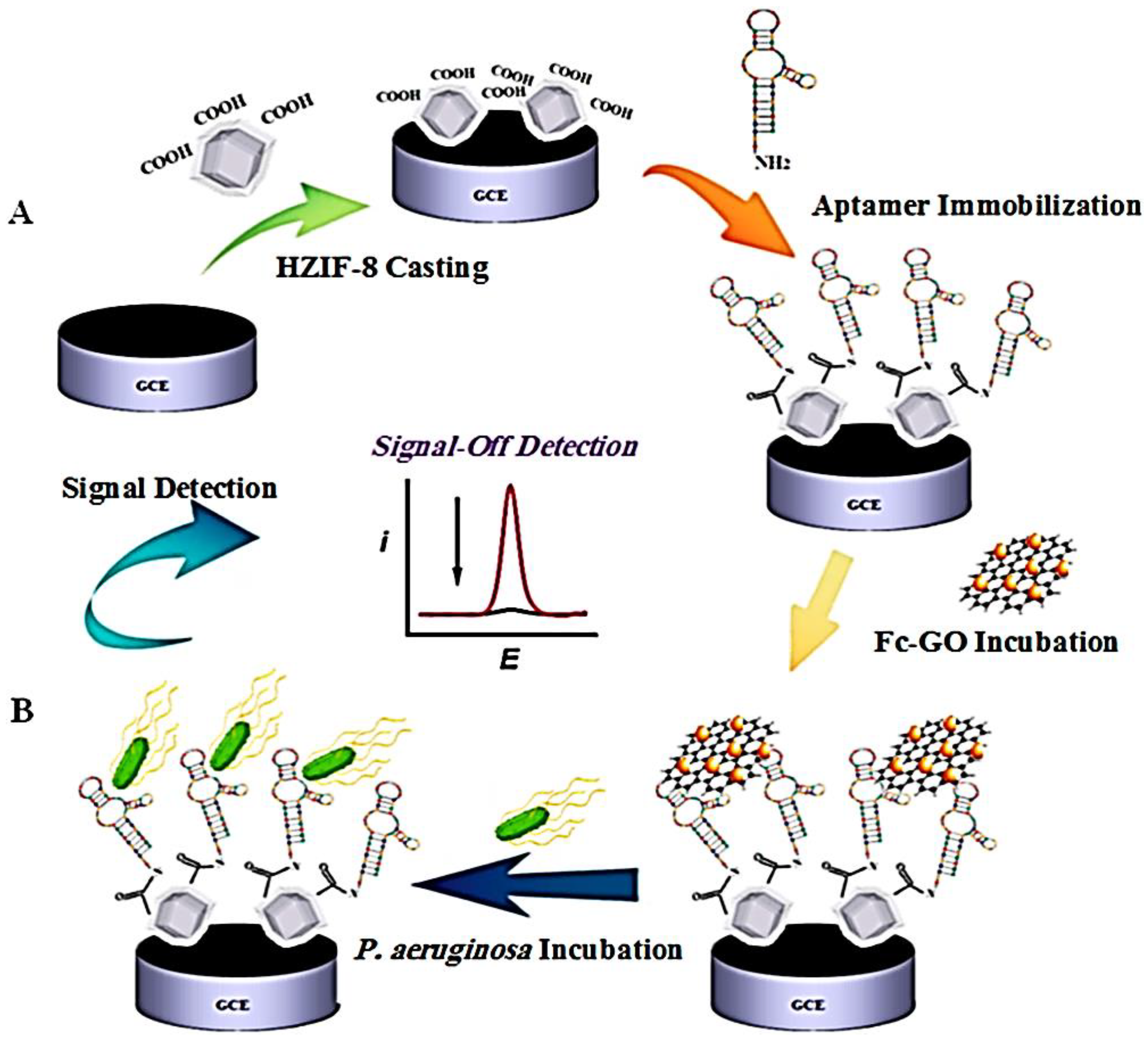 Nanomaterials 13 02184 g015
