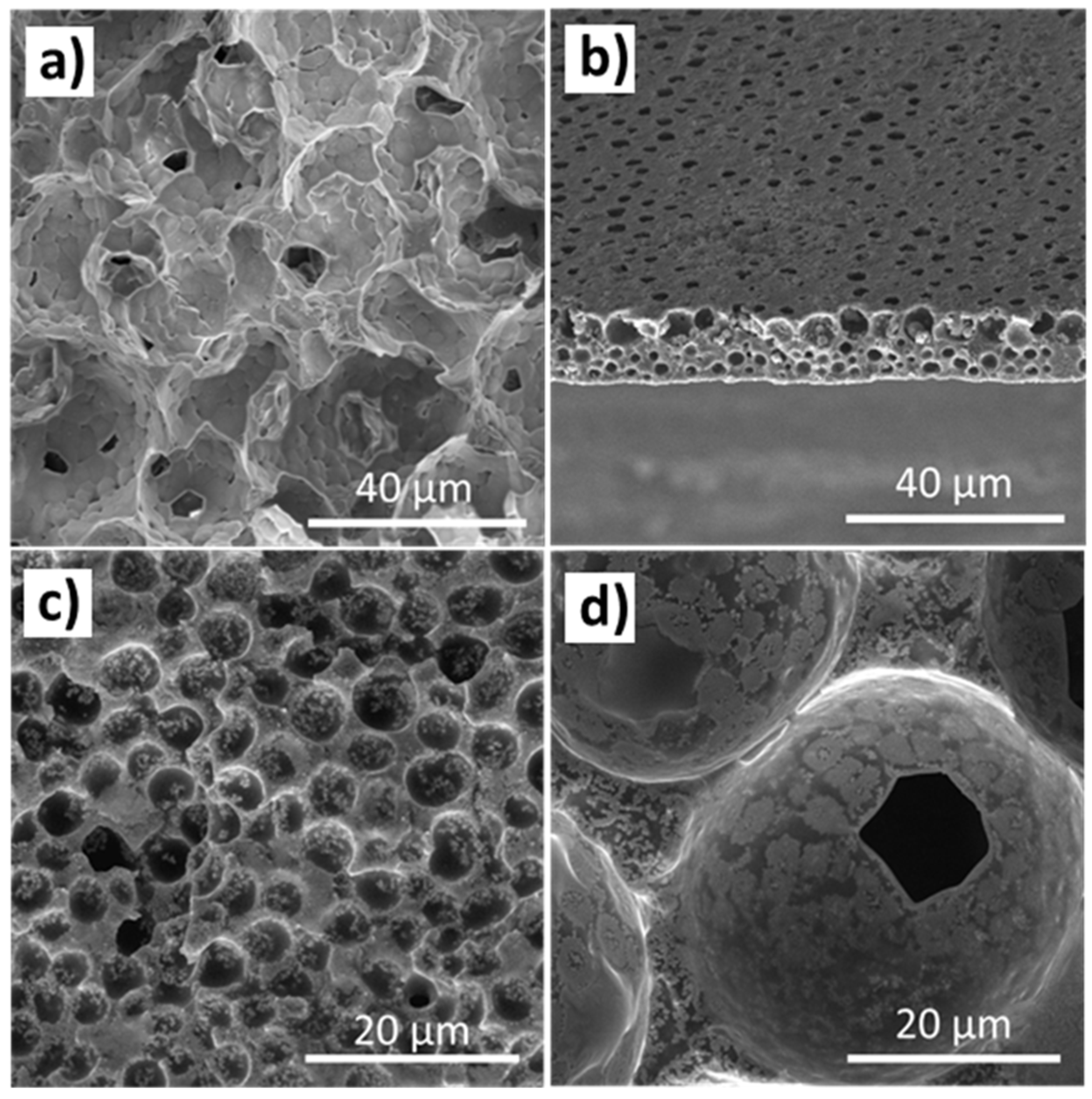 Nanomaterials 13 02186 g002 Nanomaterials 13 02186 g002