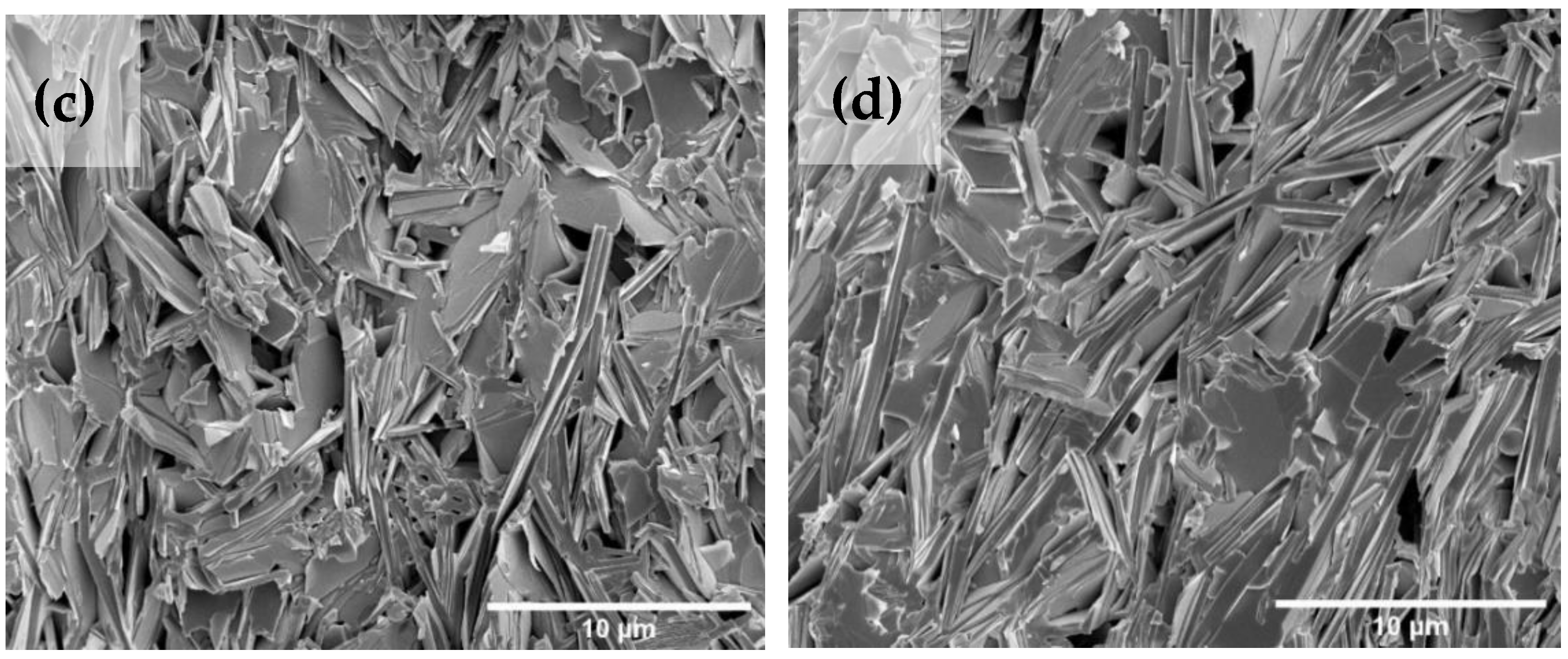 Nanomaterials 13 02197 g006b