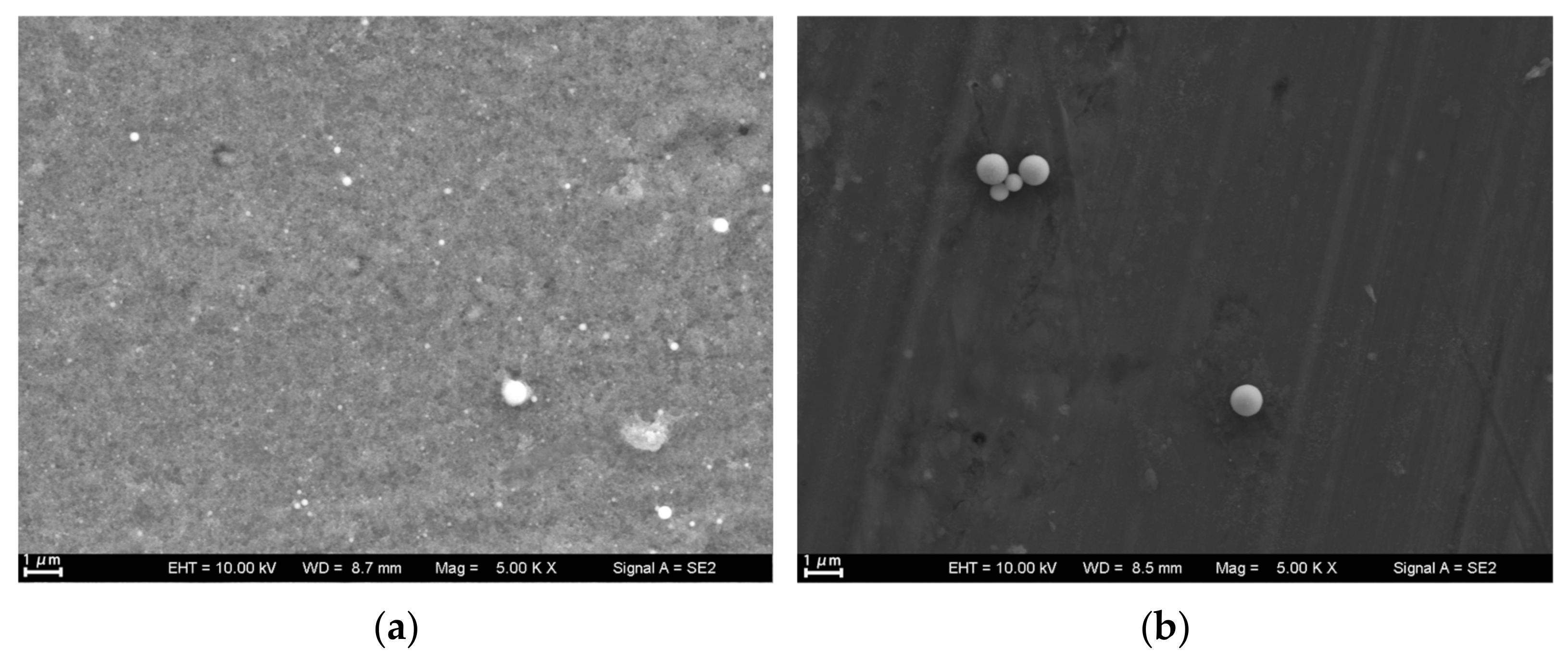 Nanomaterials 13 02201 g002a Nanomaterials 13 02201 g002a