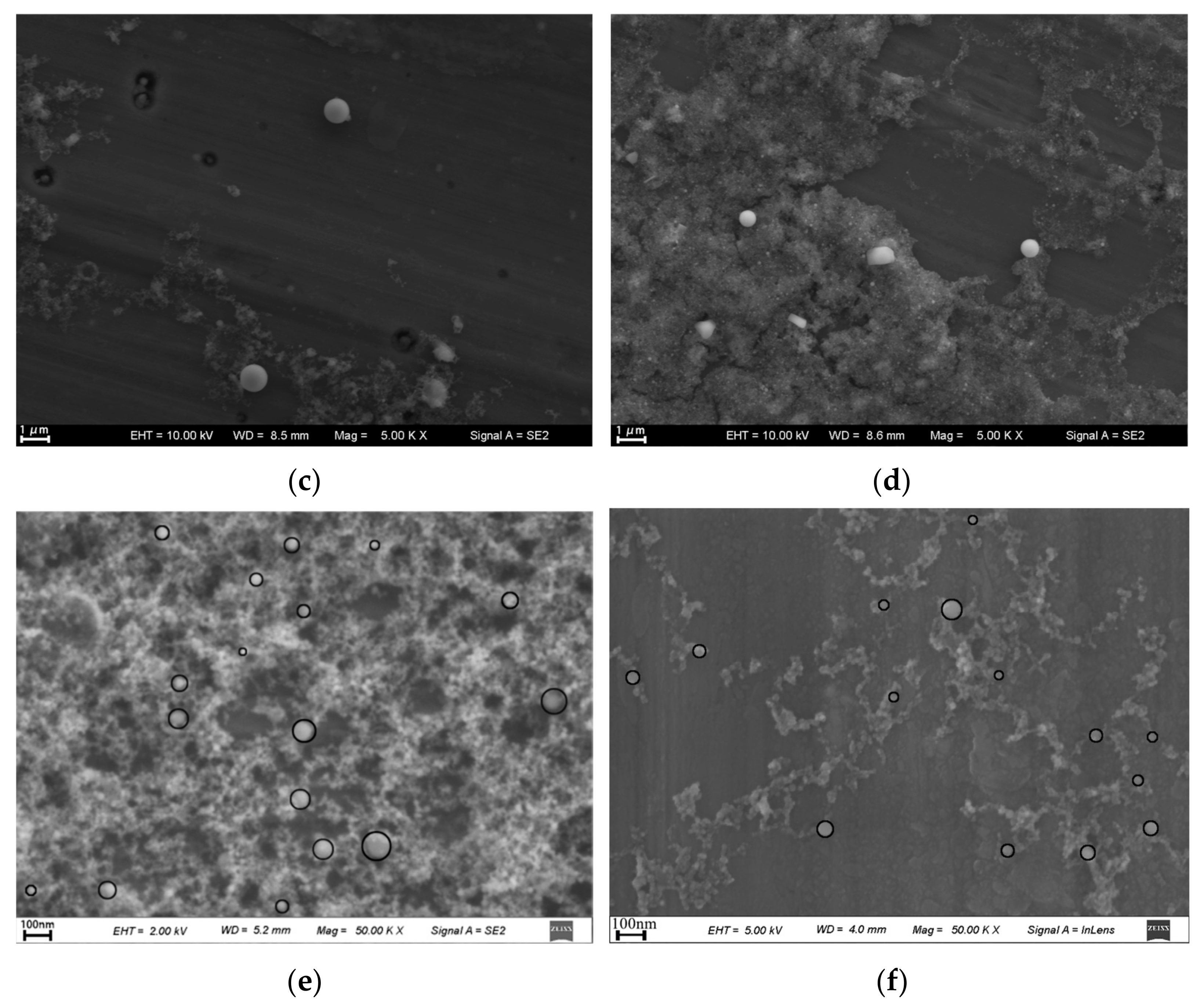 Nanomaterials 13 02201 g002b Nanomaterials 13 02201 g002b