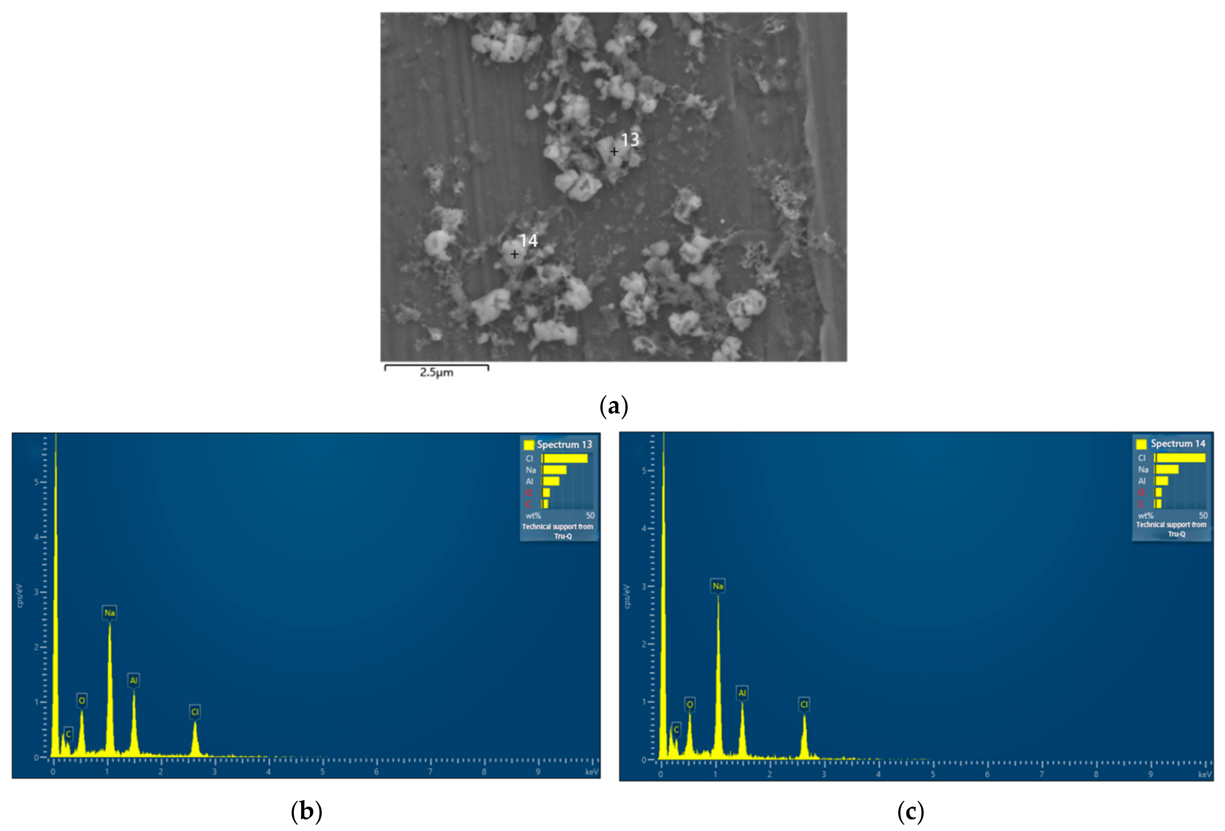 Nanomaterials 13 02201 g004 Nanomaterials 13 02201 g004