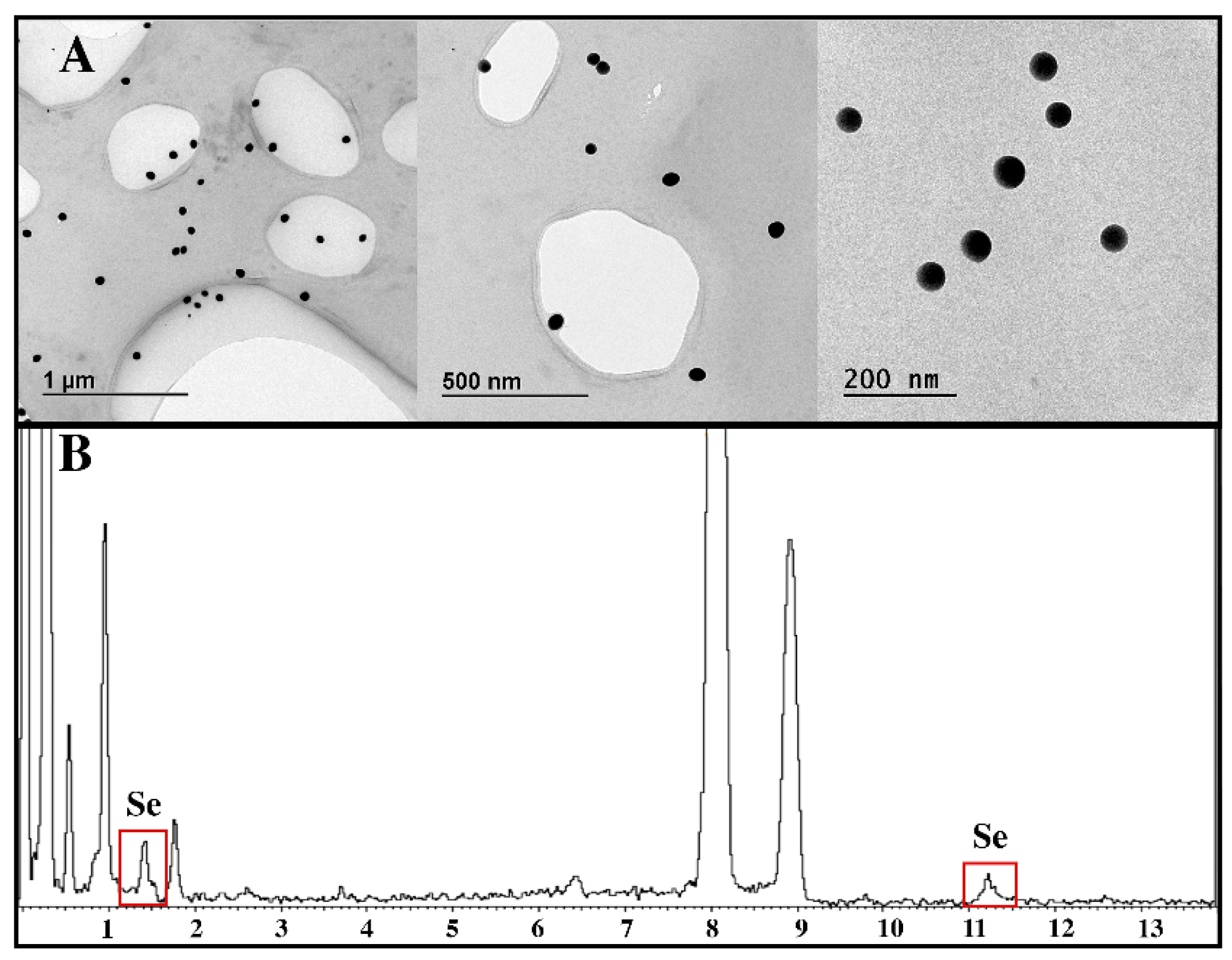 Nanomaterials 13 02204 g001 Nanomaterials 13 02204 g001
