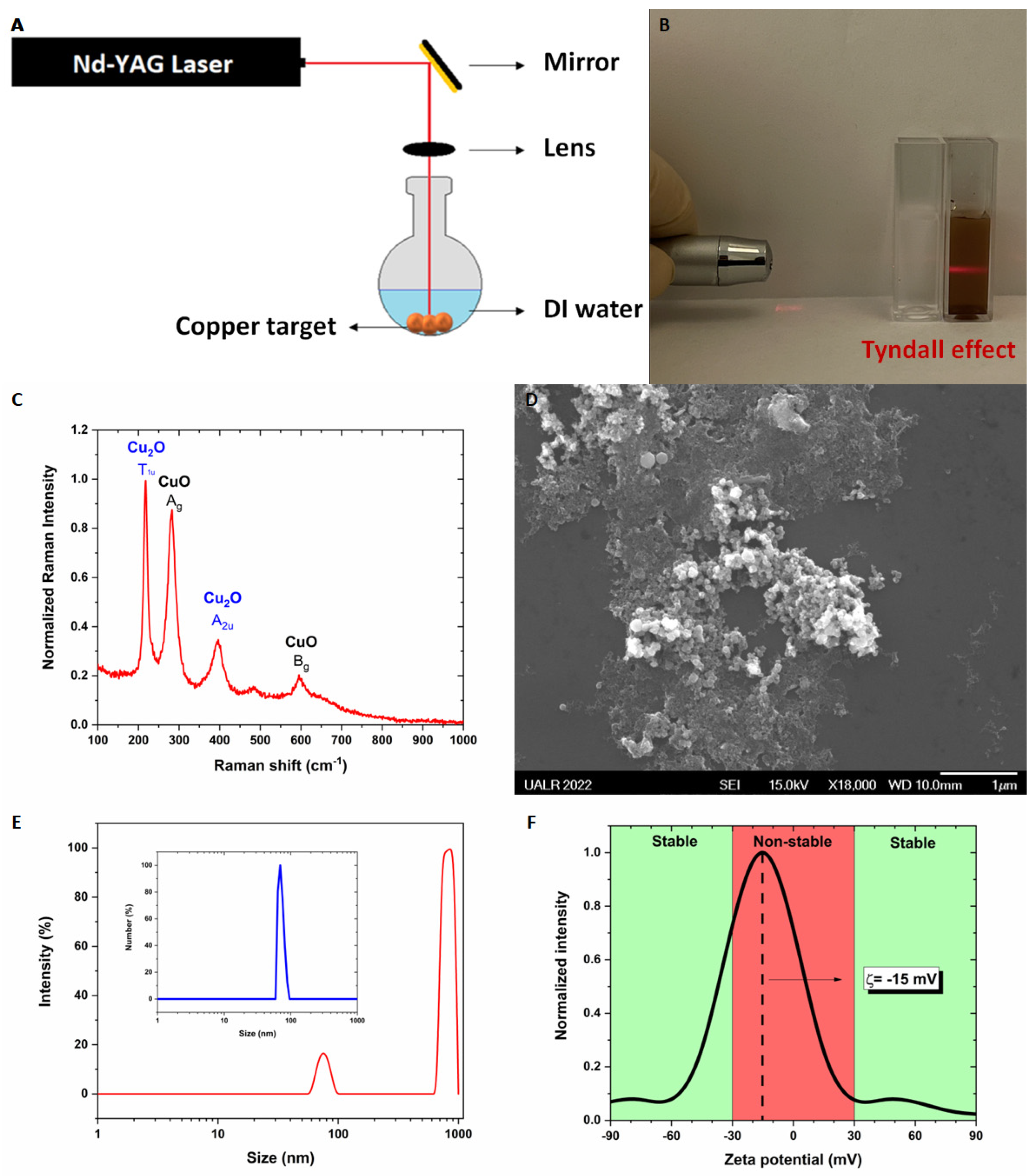 Nanomaterials 13 02206 g001