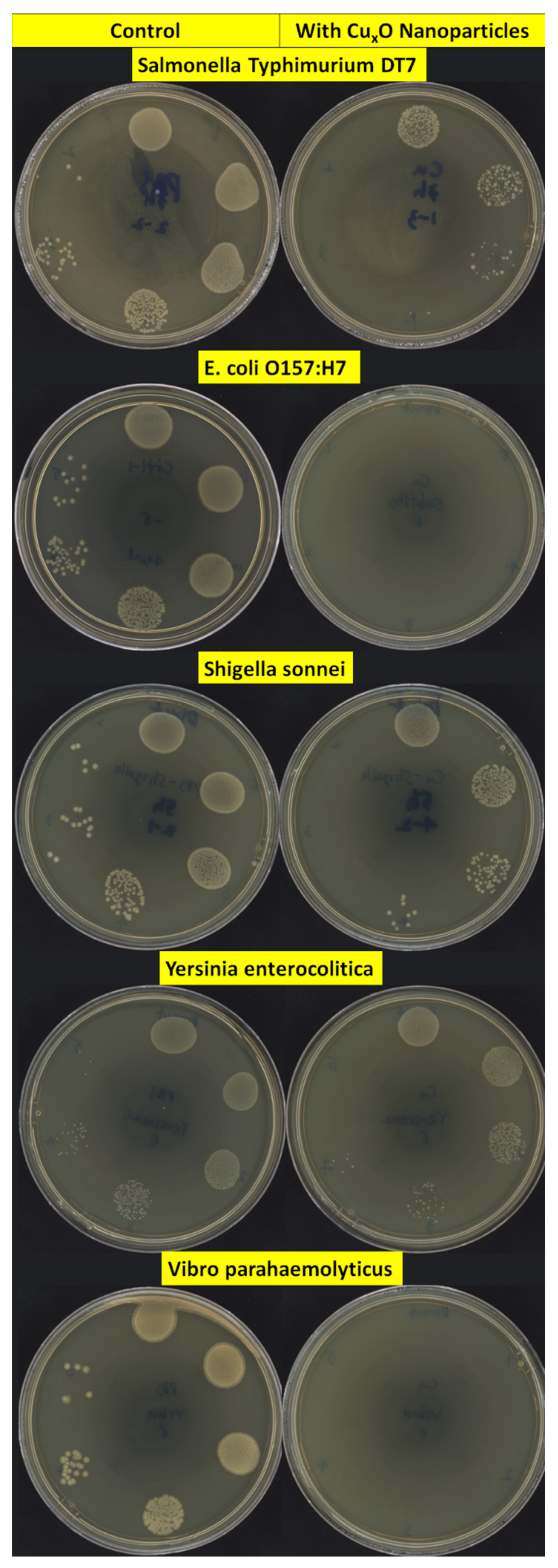 Nanomaterials 13 02206 g003