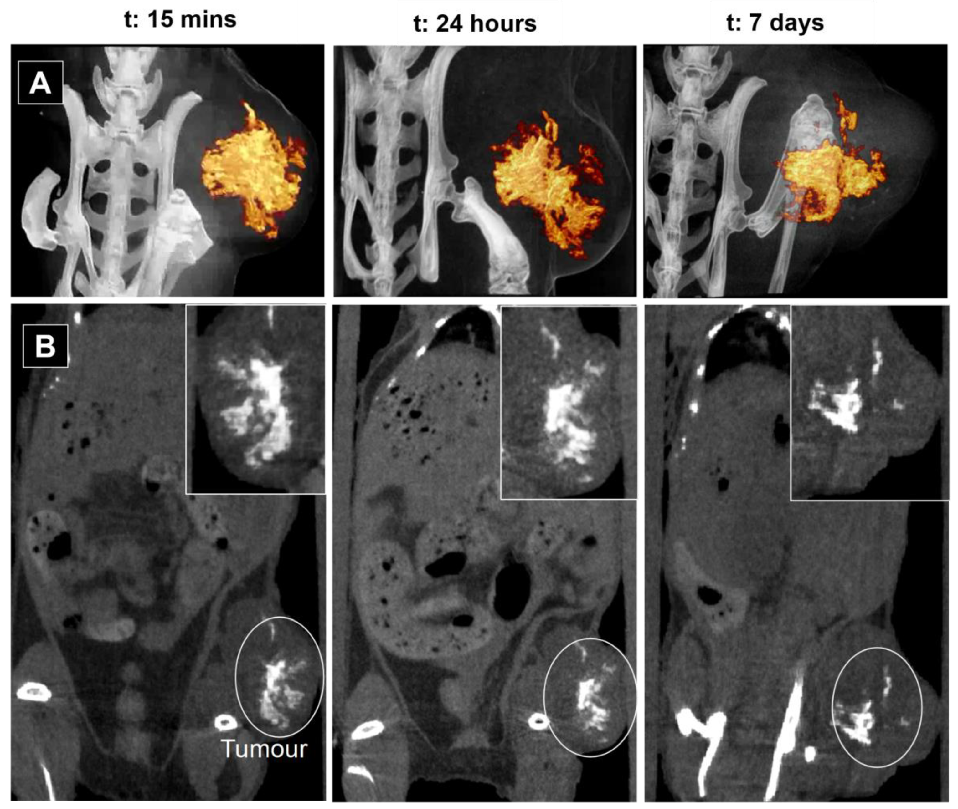 Nanomaterials 13 02208 g004 Nanomaterials 13 02208 g004