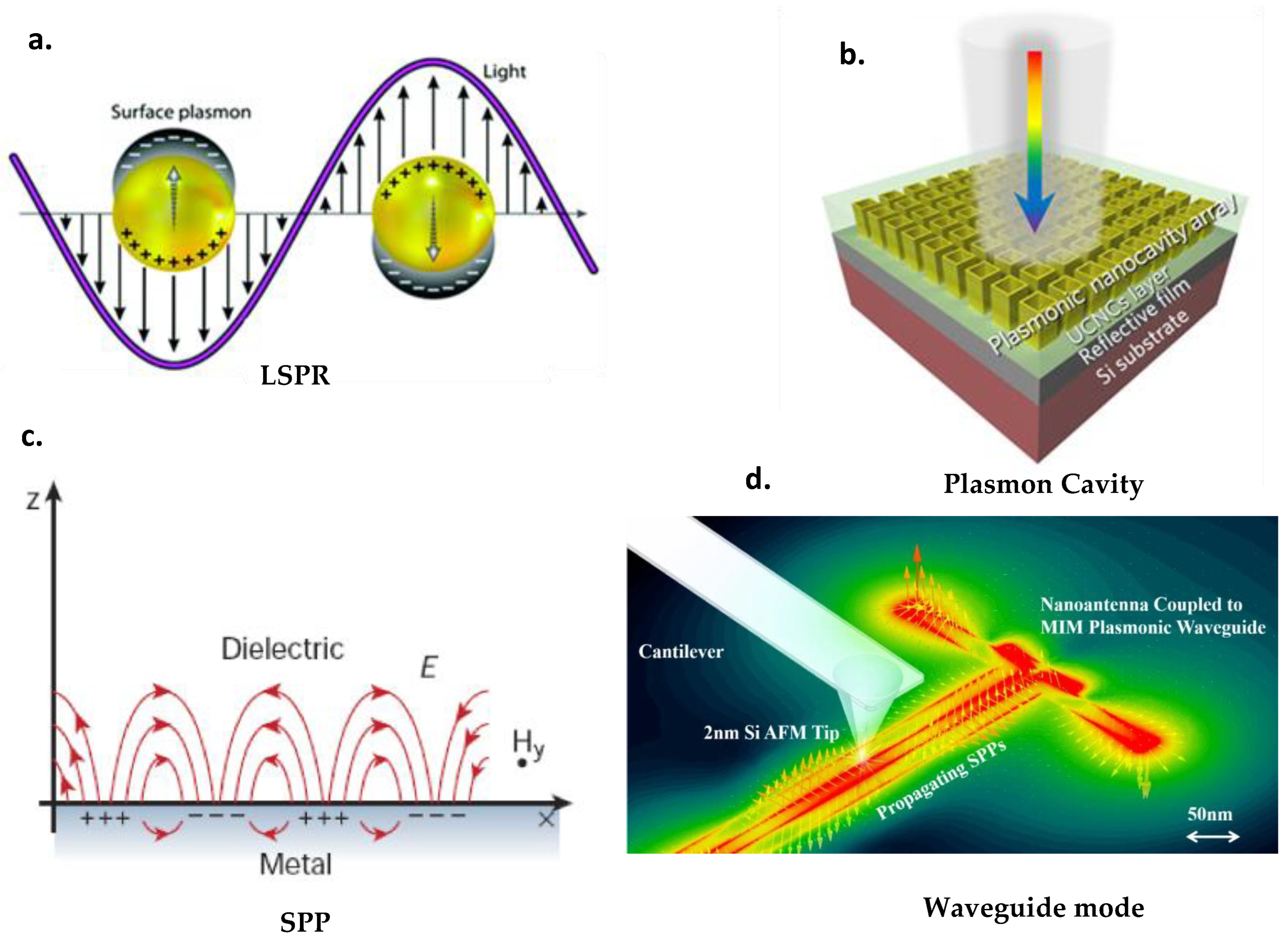 Nanomaterials 13 02209 g001 Nanomaterials 13 02209 g001