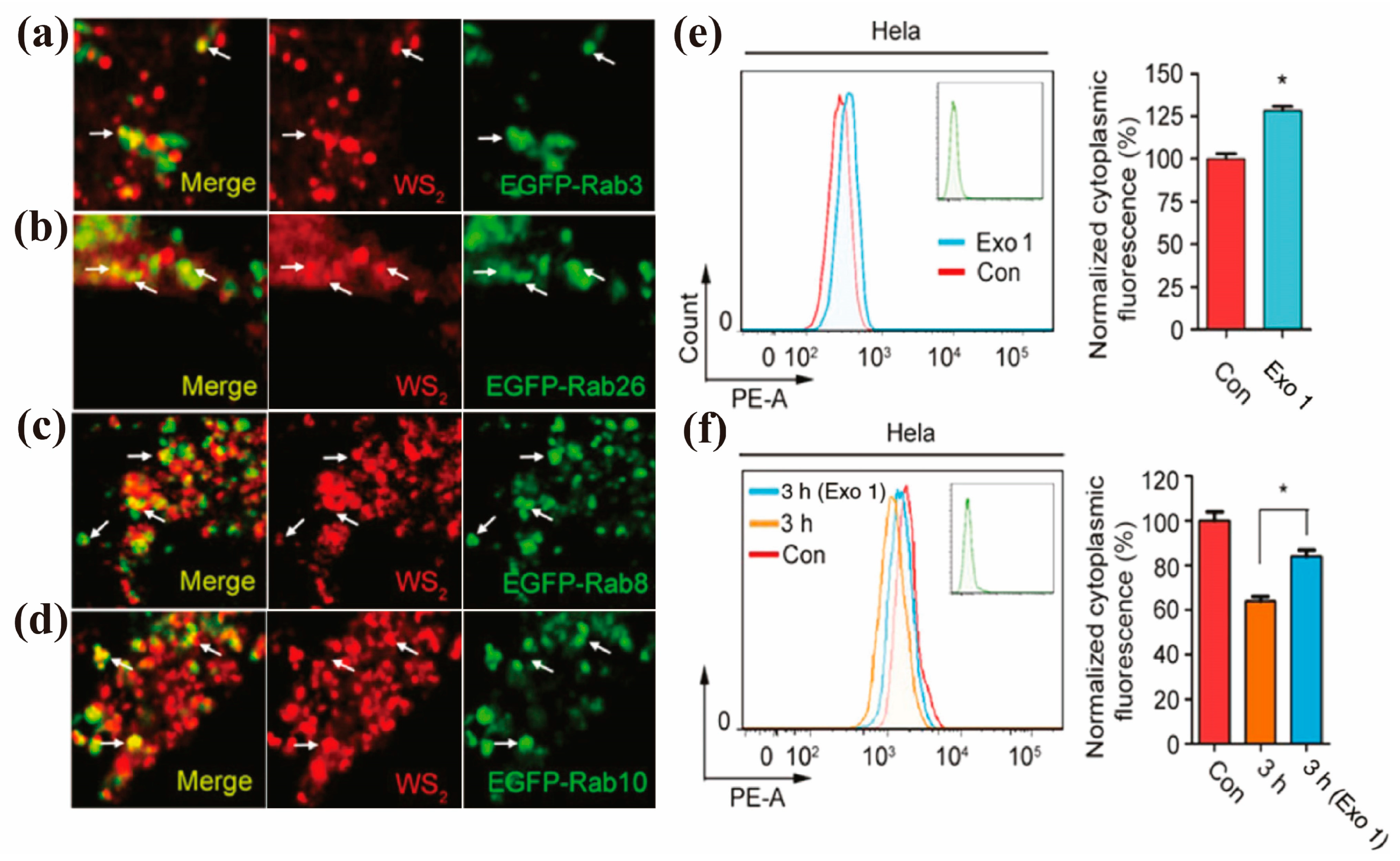 Nanomaterials 13 02215 g004