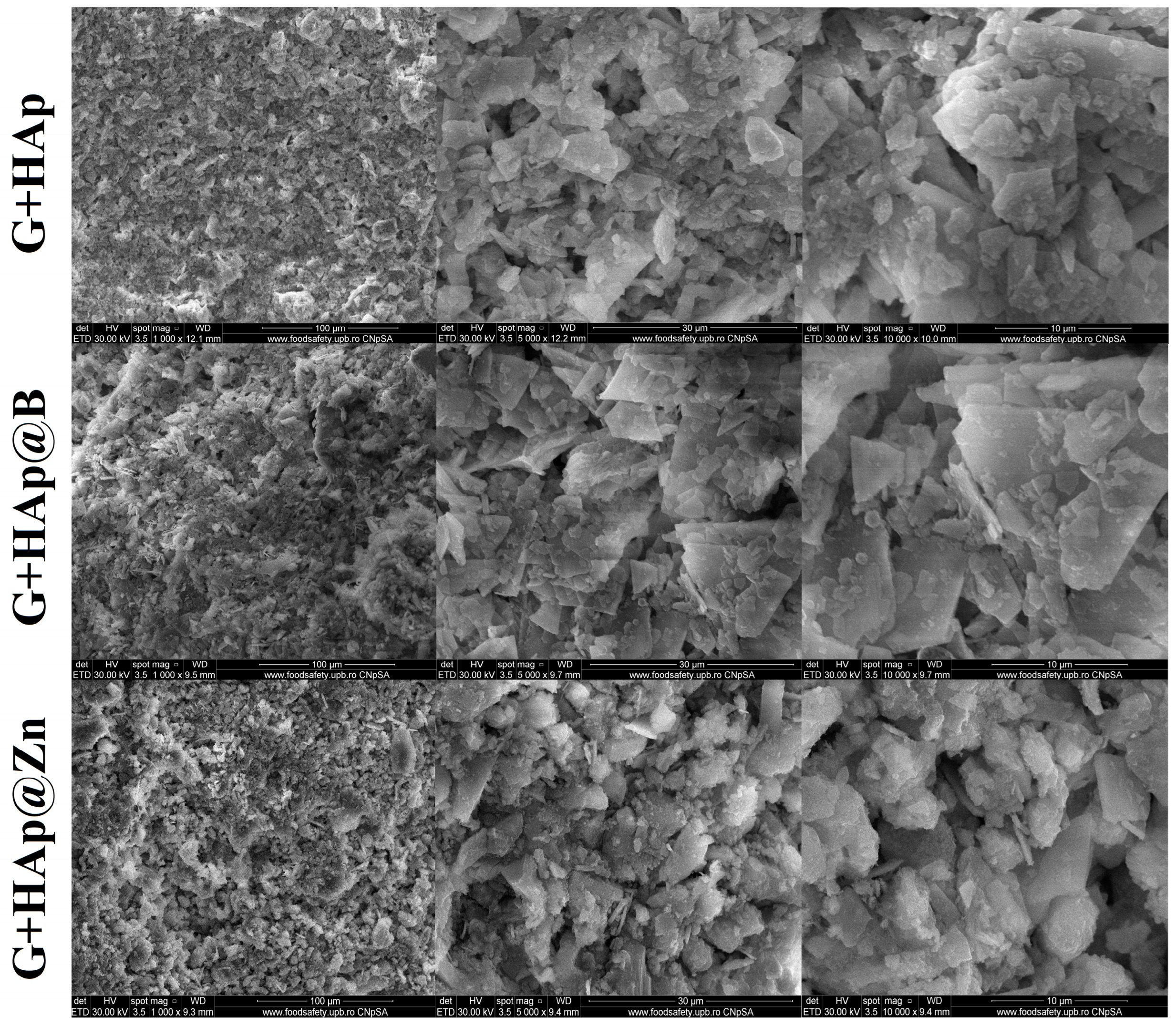 Nanomaterials 13 02219 g012