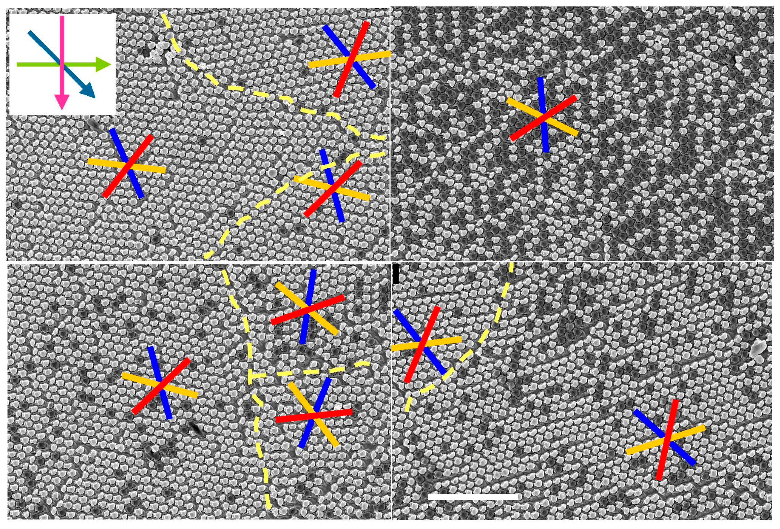 Nanomaterials 13 02235 g007 Nanomaterials 13 02235 g007