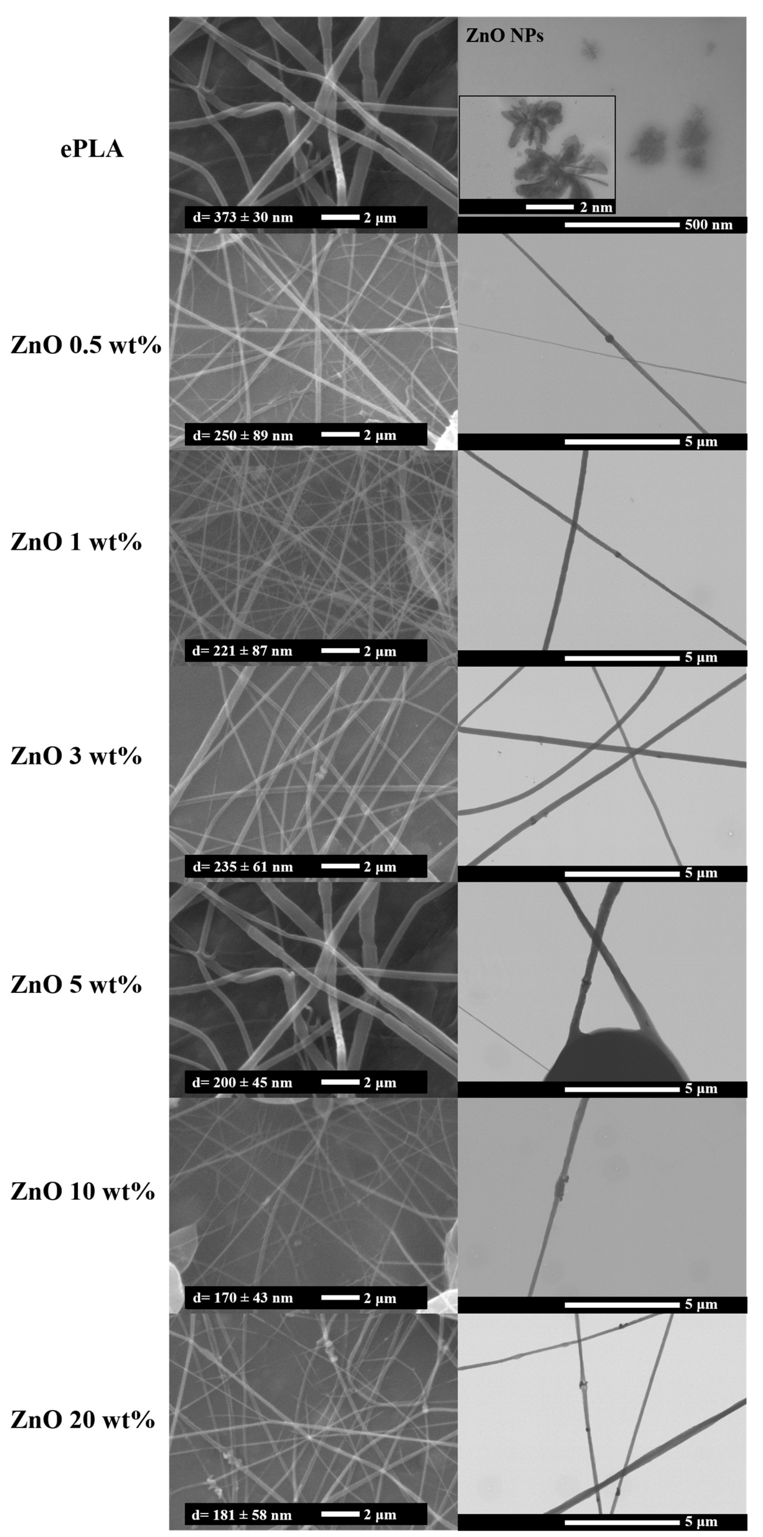 Nanomaterials 13 02236 g001