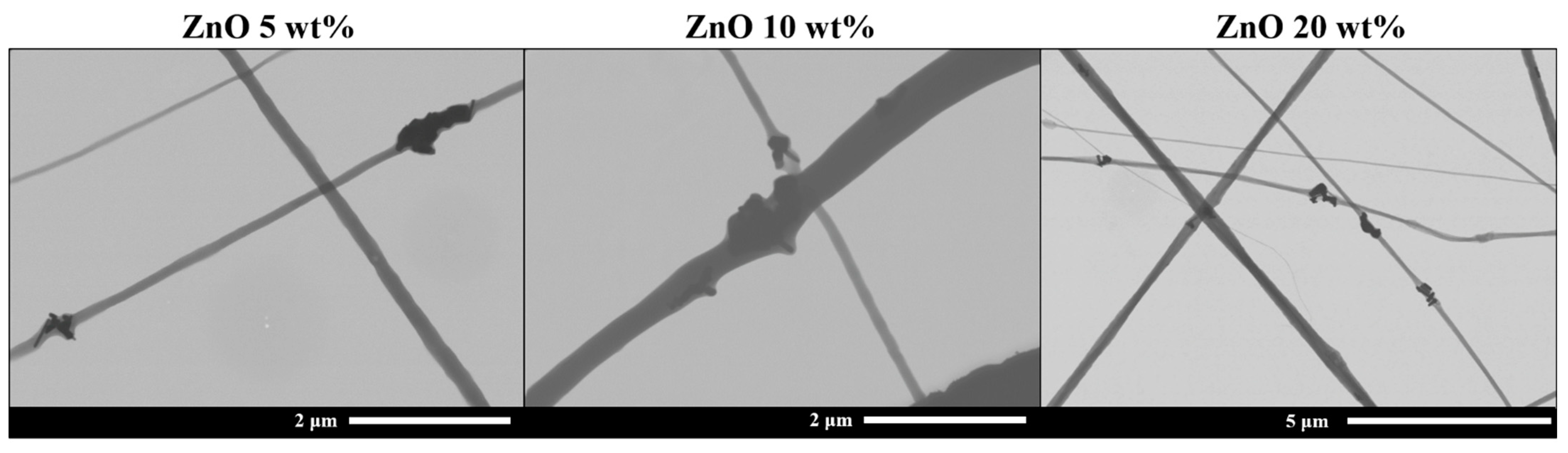 Nanomaterials 13 02236 g005