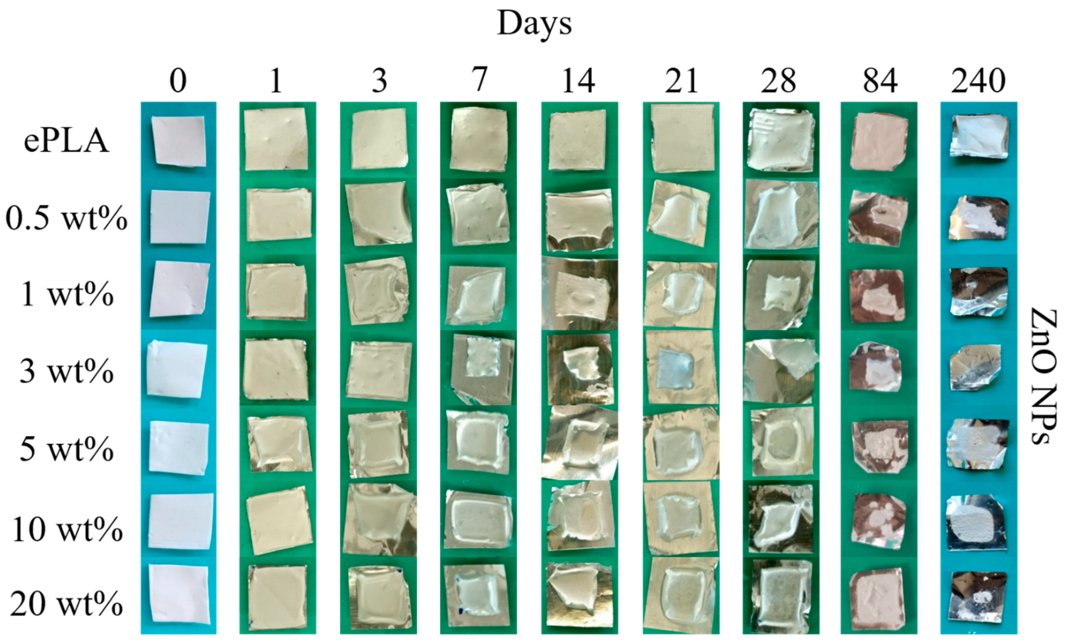 Nanomaterials 13 02236 g007