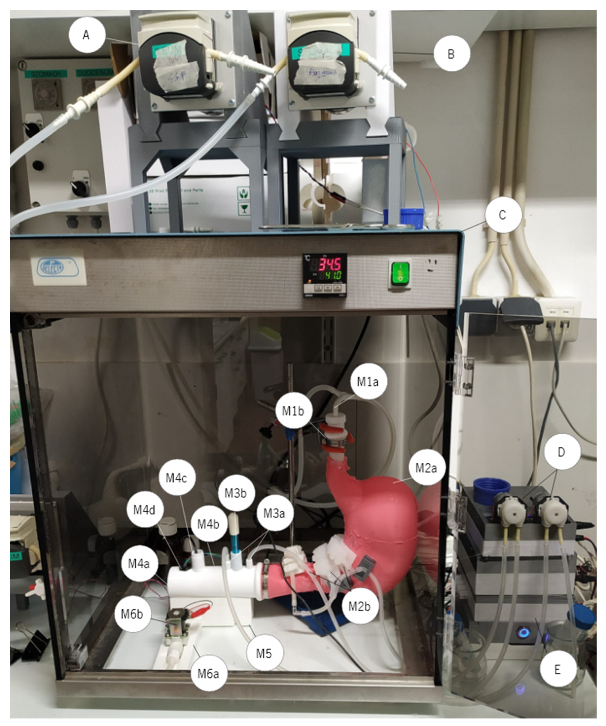 Nanomaterials 13 02237 g001 Nanomaterials 13 02237 g001