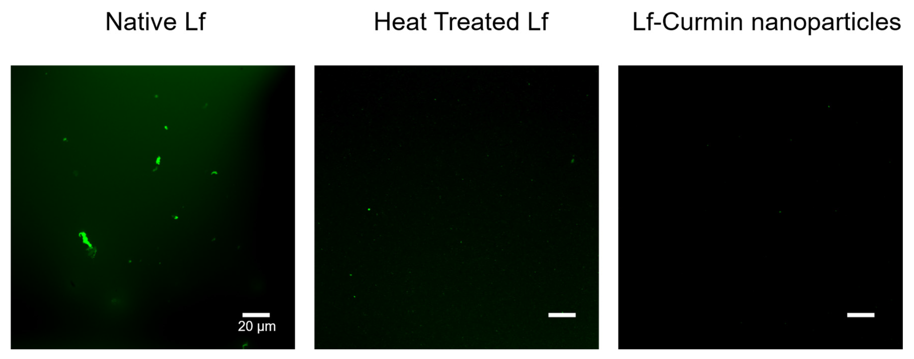 Nanomaterials 13 02237 g002 Nanomaterials 13 02237 g002
