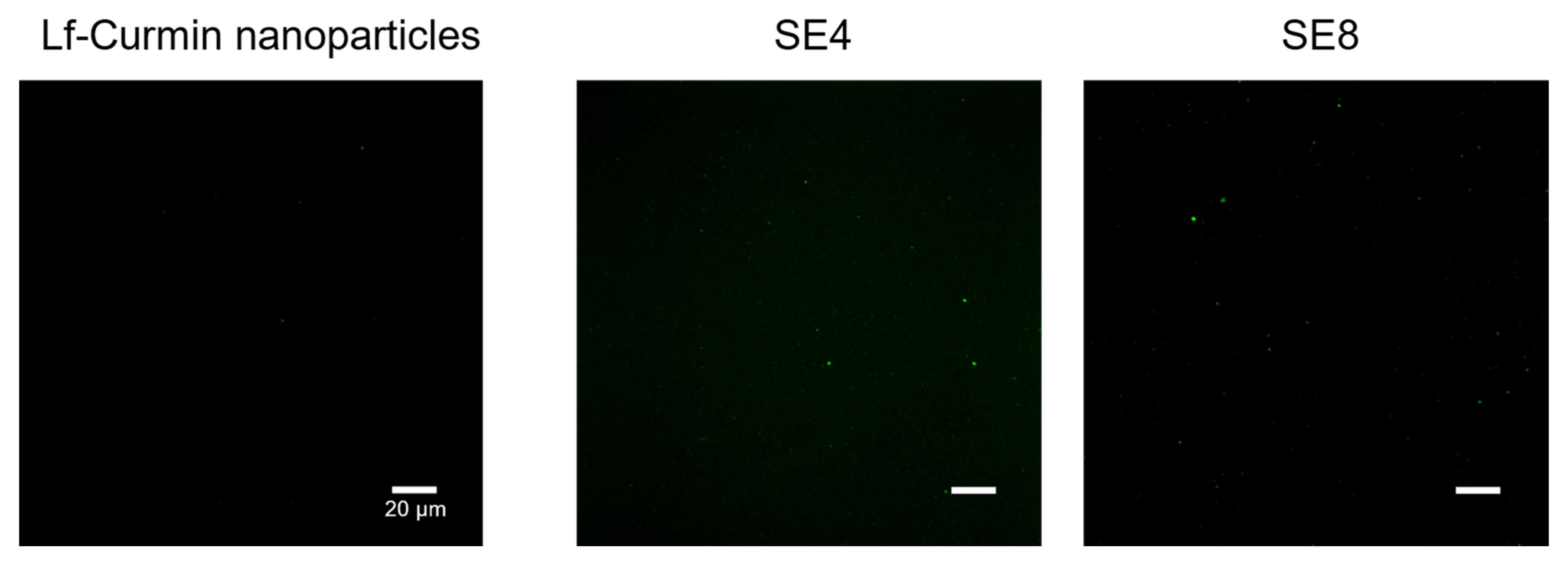 Nanomaterials 13 02237 g005 Nanomaterials 13 02237 g005