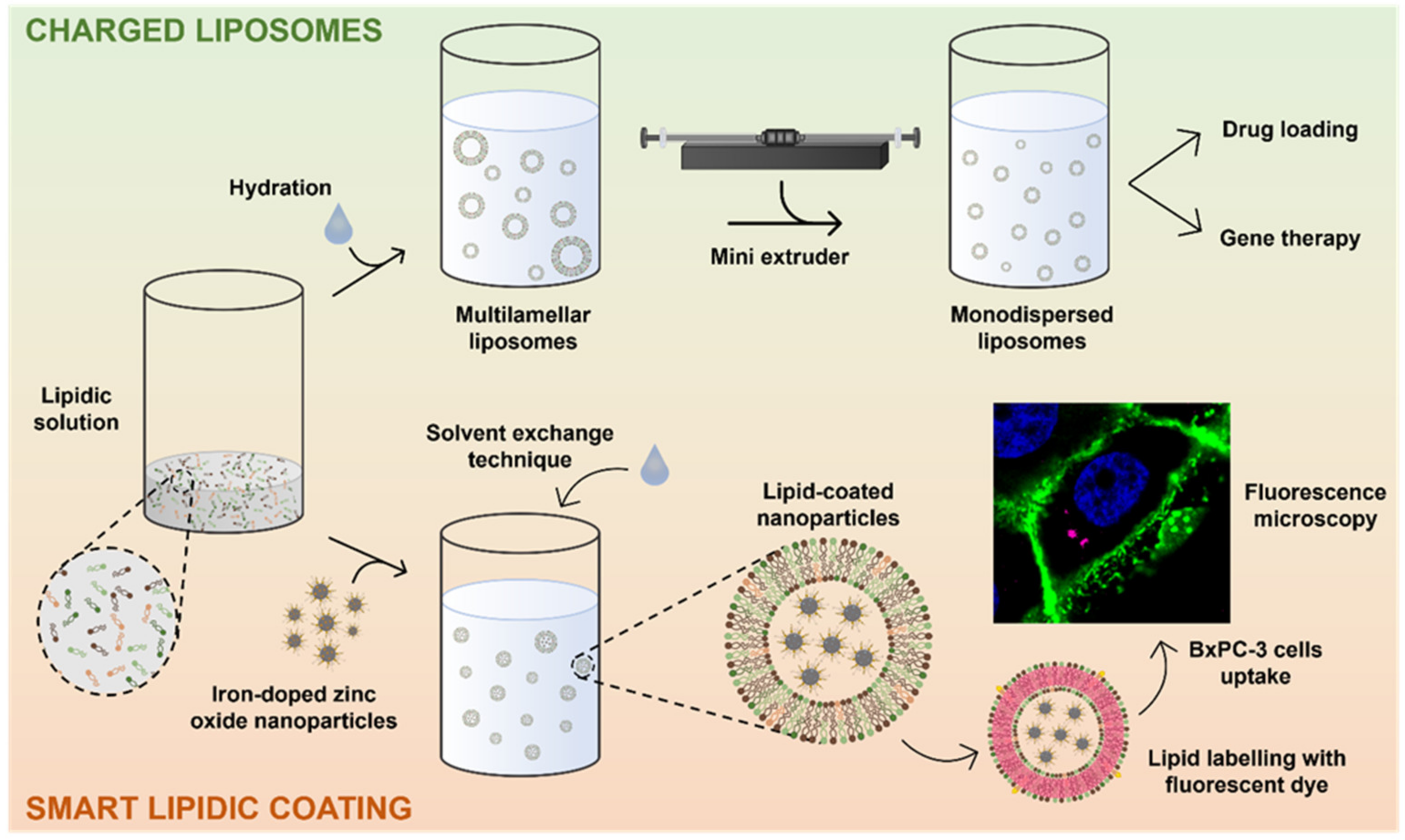 Nanomaterials 13 02250 g001
