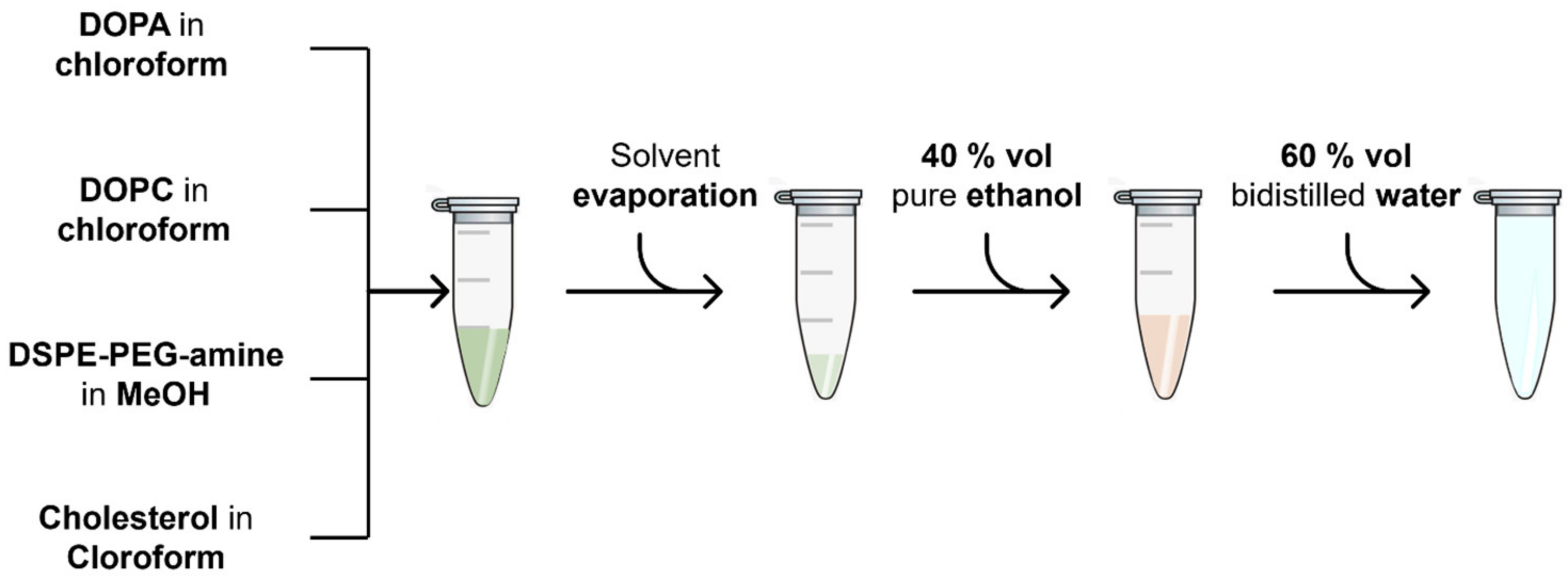 Nanomaterials 13 02250 g002