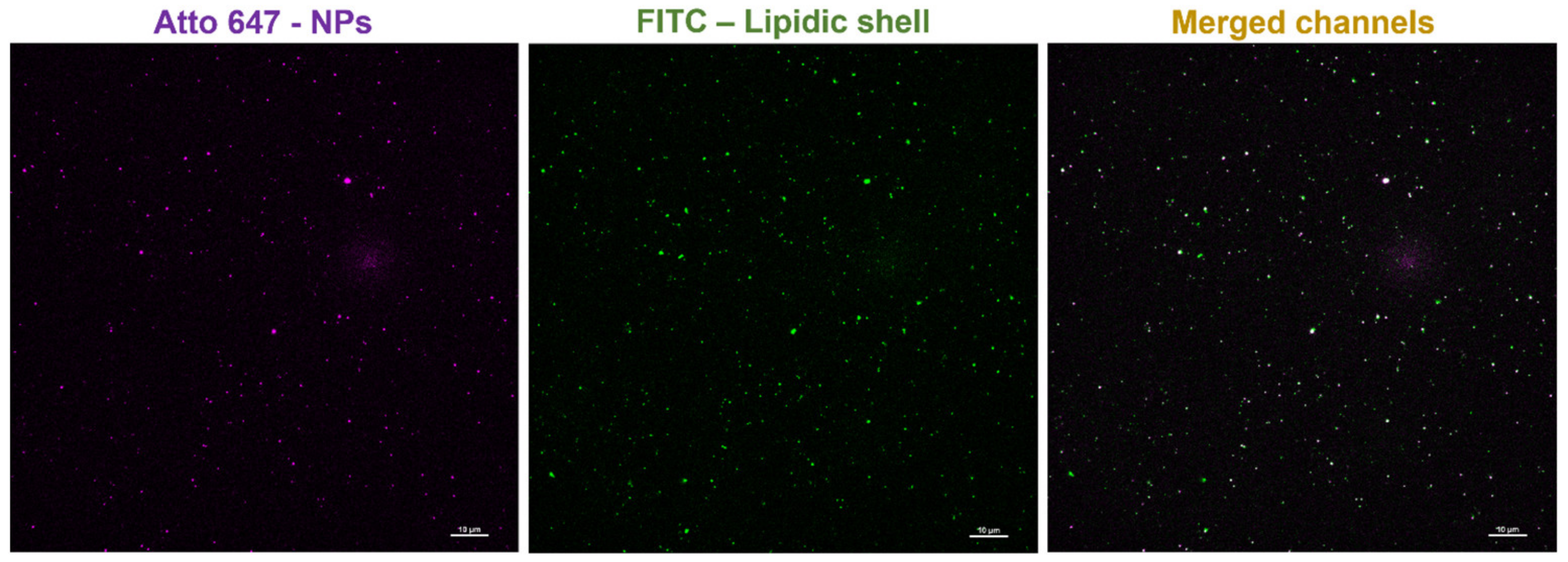 Nanomaterials 13 02250 g010
