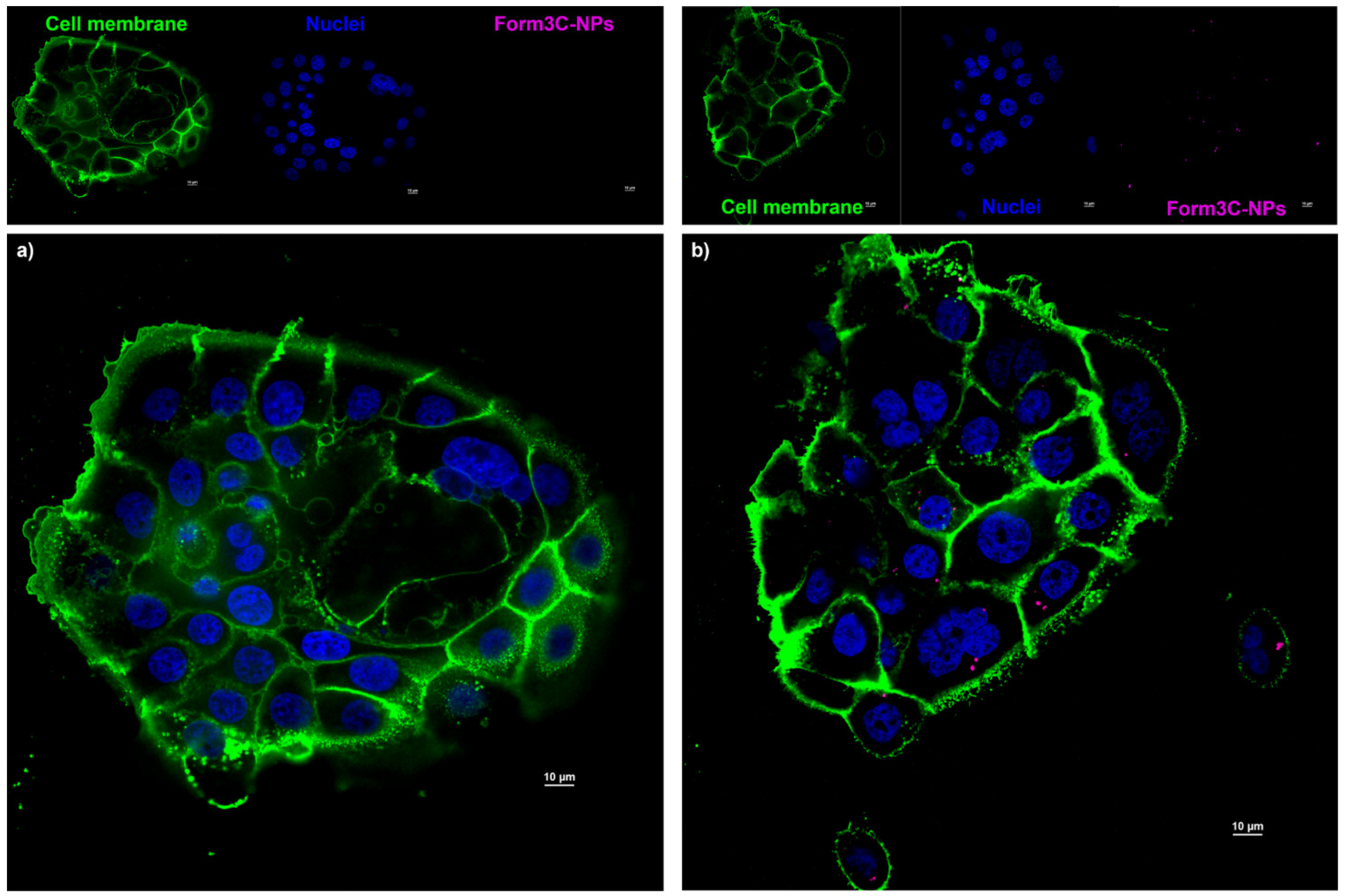 Nanomaterials 13 02250 g013