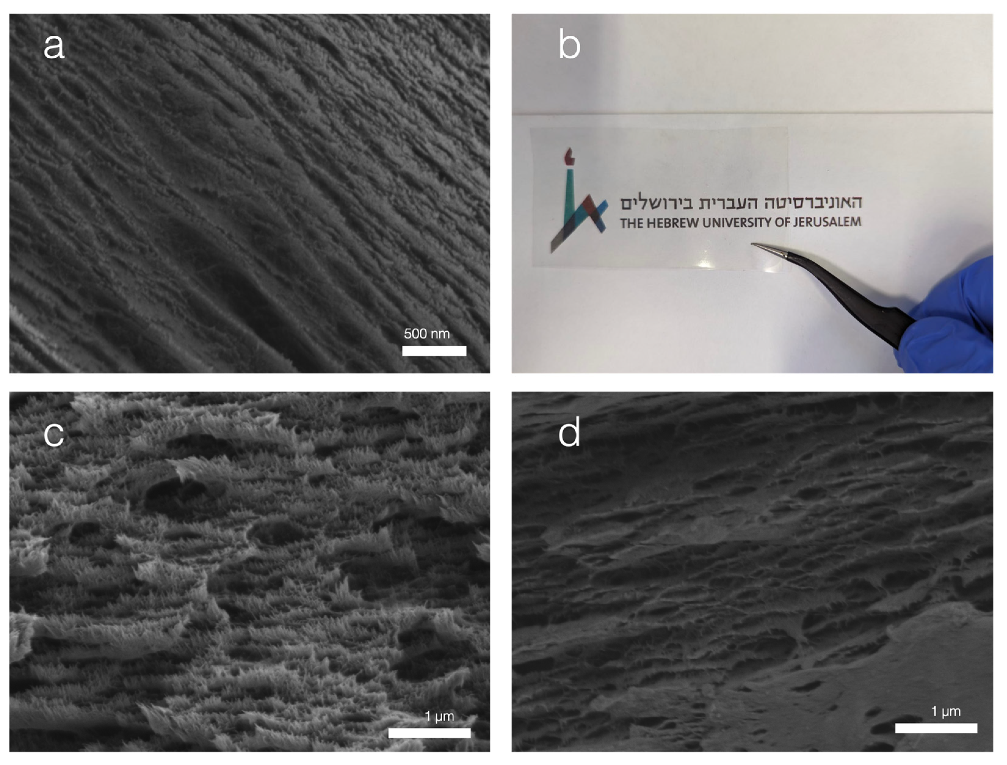 Nanomaterials 13 02258 g002