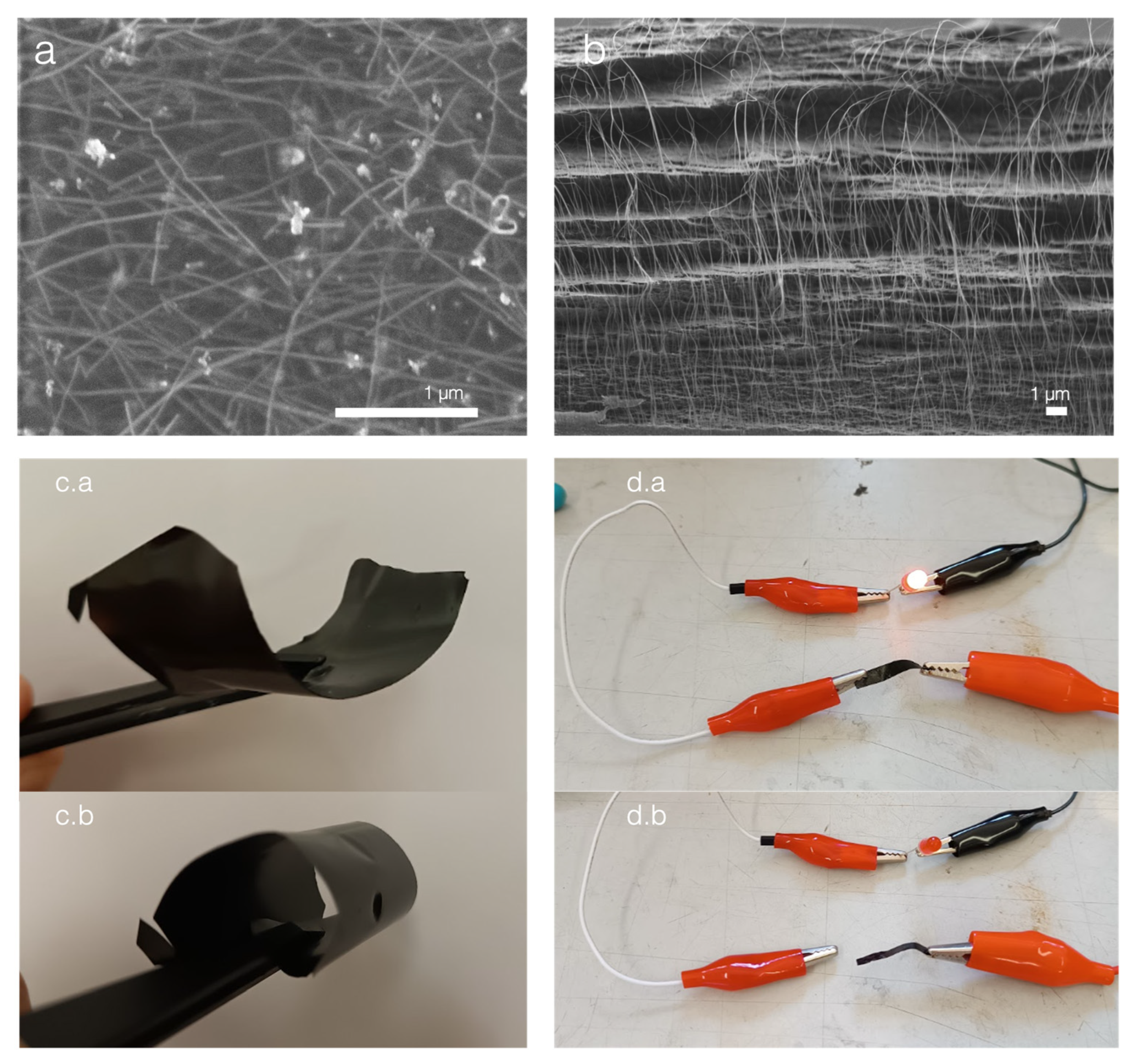 Nanomaterials 13 02258 g003