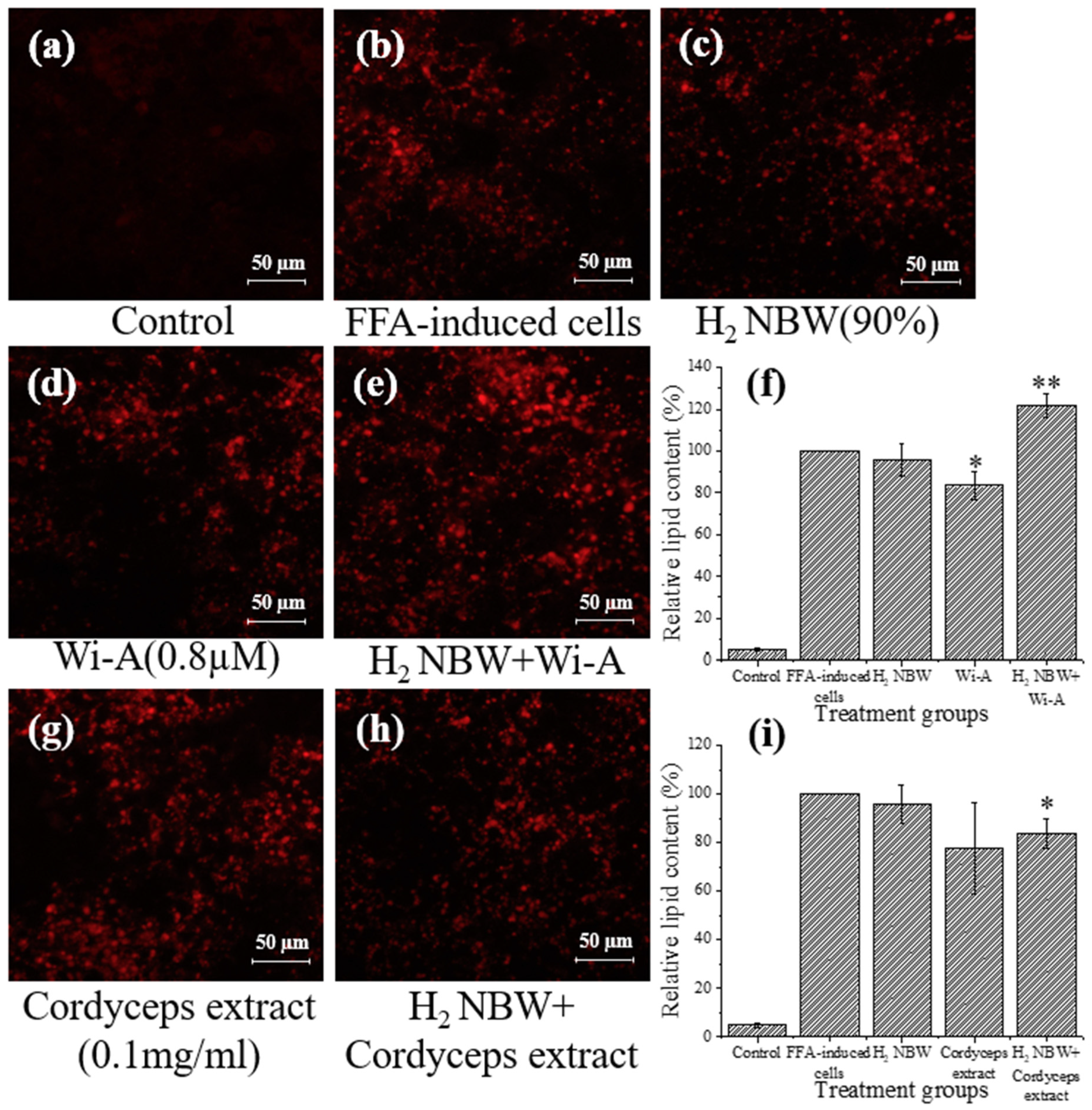 Nanomaterials 13 02265 g004 Nanomaterials 13 02265 g004