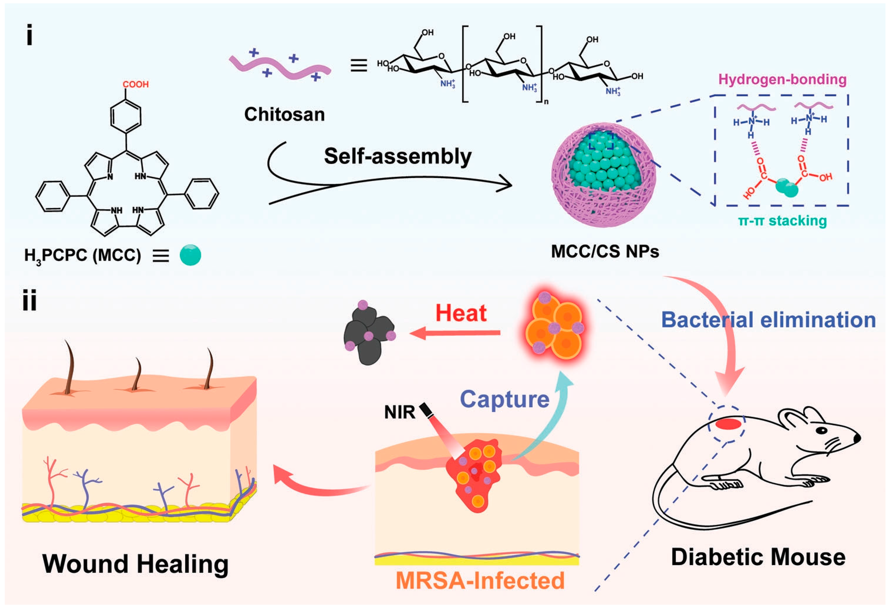 Nanomaterials 13 02269 g001