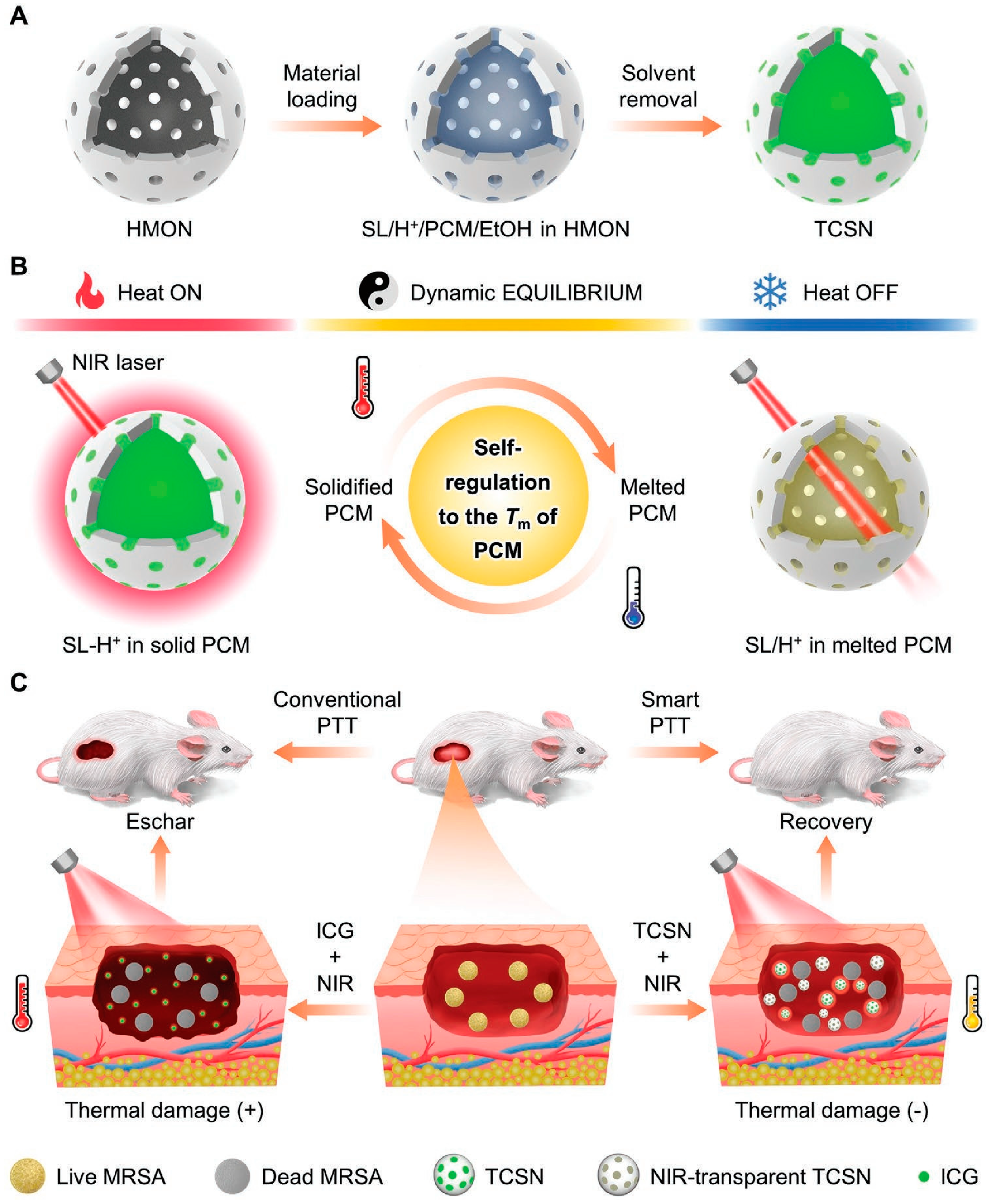 Nanomaterials 13 02269 g002