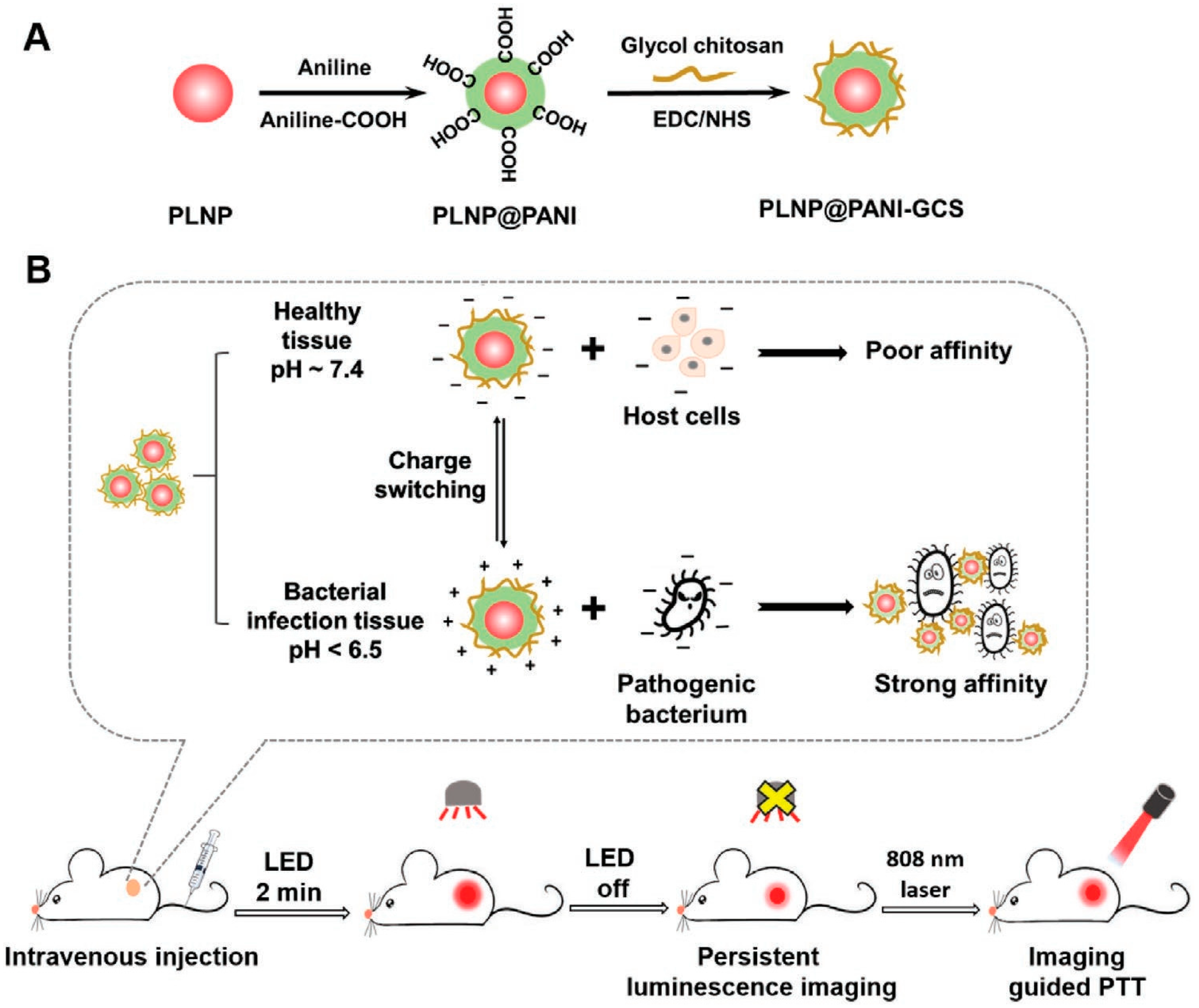 Nanomaterials 13 02269 g007