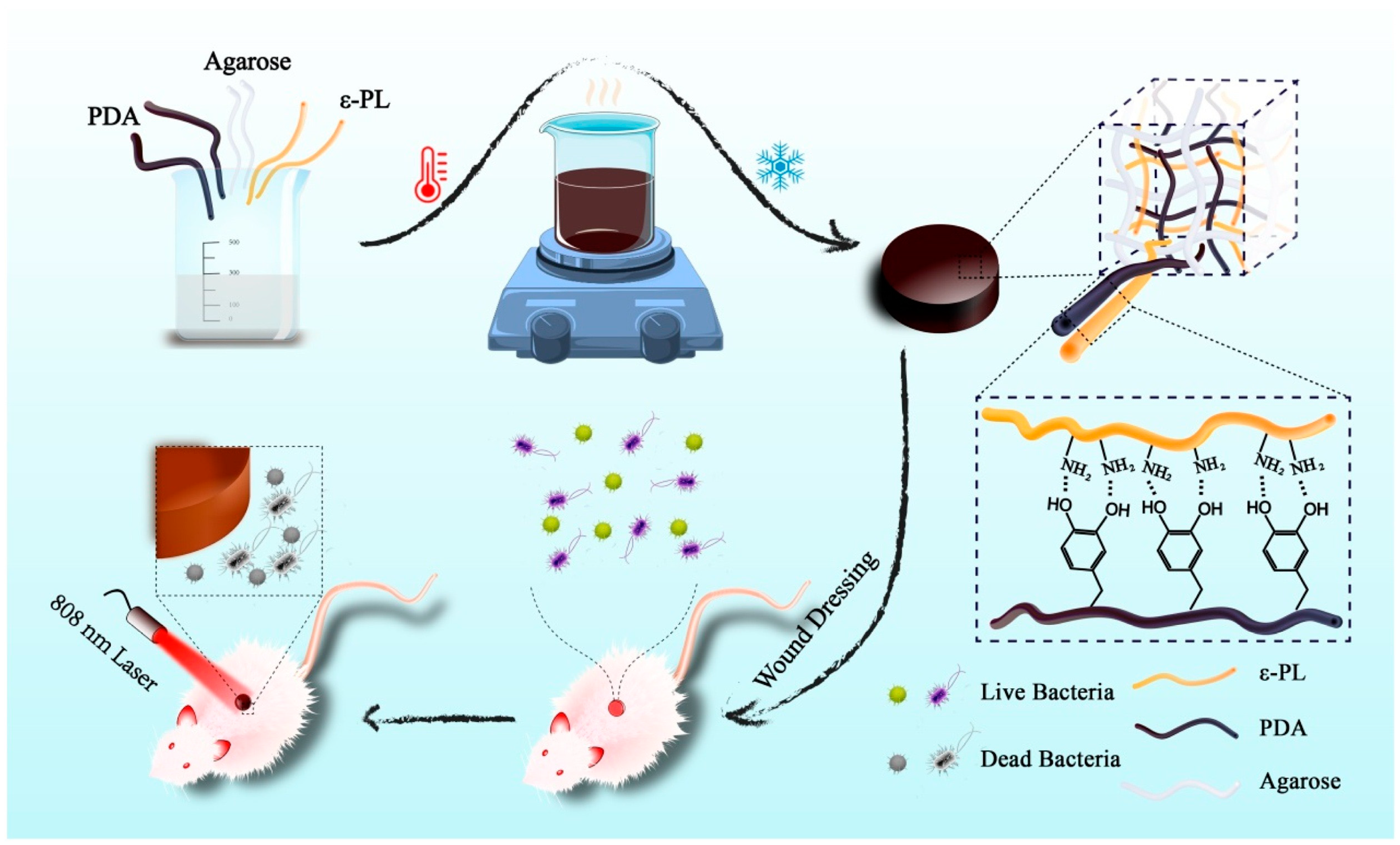 Nanomaterials 13 02269 g008